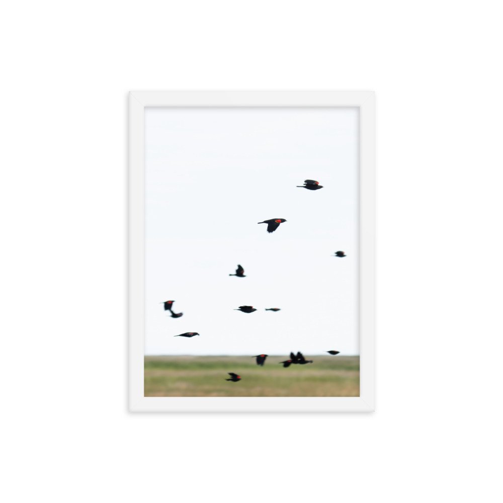 enhanced-matte-paper-framed-poster-(in)-white-12x16-transparent-65f3d4777ea5d.jpg