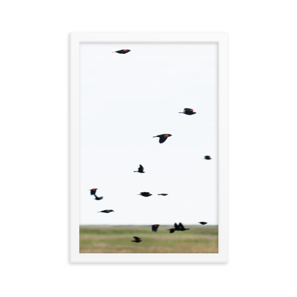enhanced-matte-paper-framed-poster-(in)-white-12x18-transparent-65f3d4777eabe.jpg