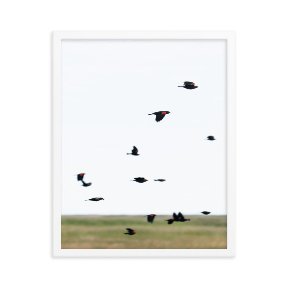 enhanced-matte-paper-framed-poster-(in)-white-16x20-transparent-65f3d4777eb1e.jpg