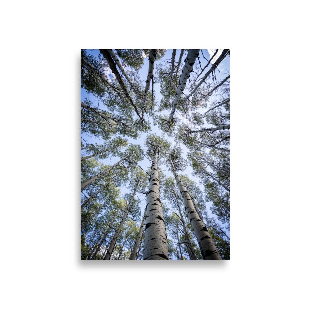enhanced-matte-paper-poster-(in)-a1-(23.3x33.1)-front-67a448281e2a1.jpg