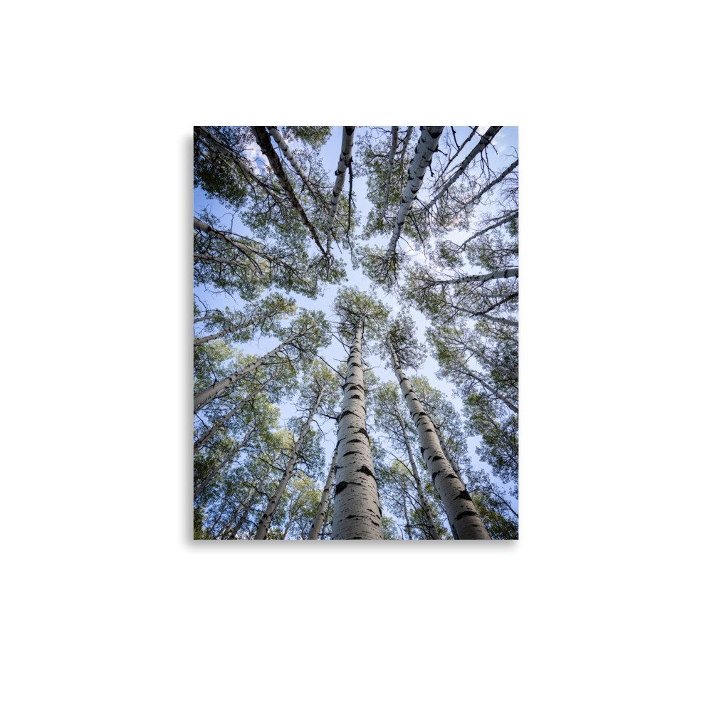 enhanced-matte-paper-poster-(in)-11x14-front-67a448281e314.jpg