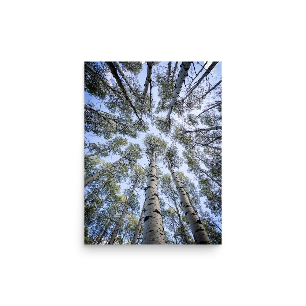 enhanced-matte-paper-poster-(in)-12x16-front-67a448281e3b8.jpg