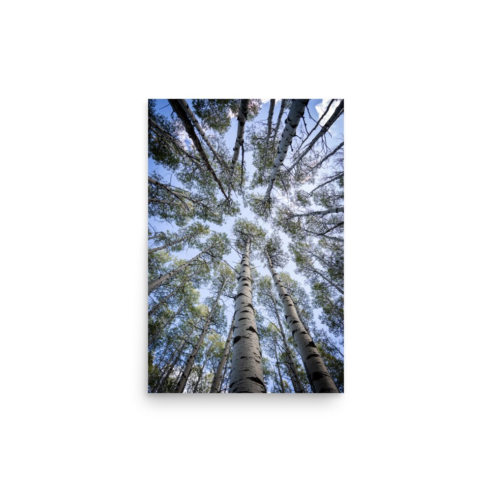 enhanced-matte-paper-poster-(in)-12x18-front-67a448281e465.jpg