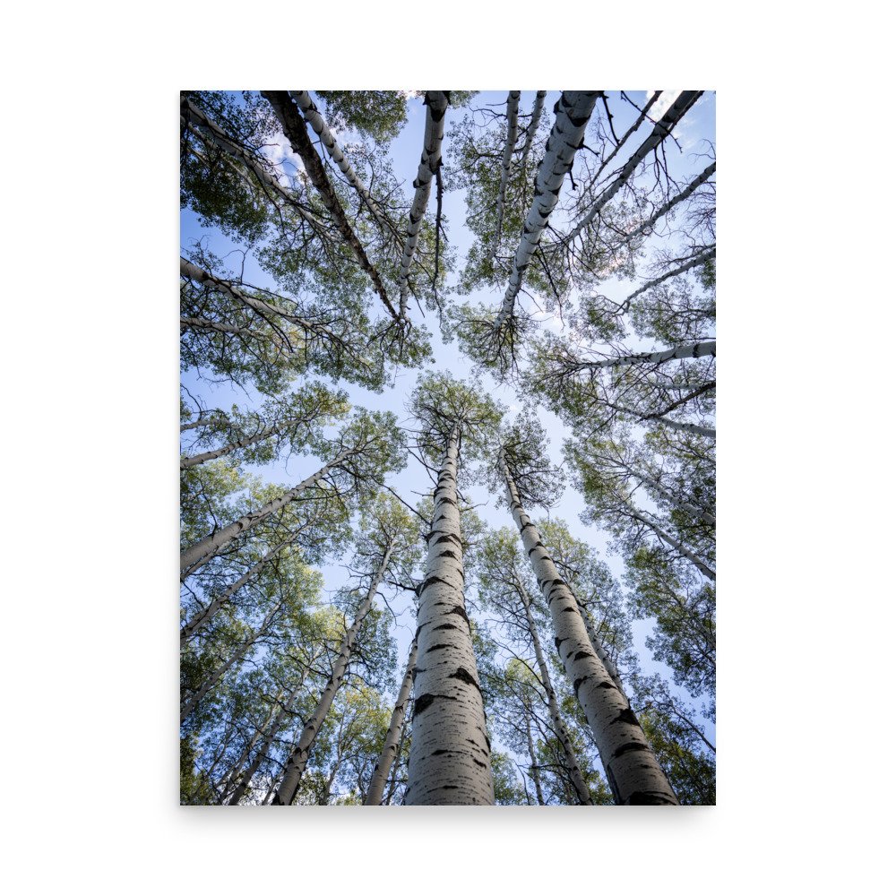 enhanced-matte-paper-poster-(in)-18x24-front-67a448281e5b1.jpg