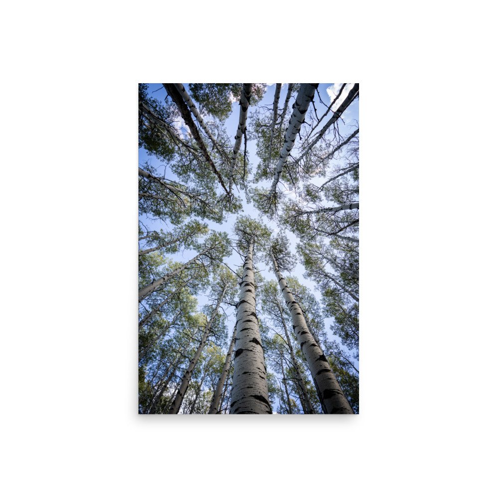 enhanced-matte-paper-poster-(in)-20x30-front-67a448281e65a.jpg