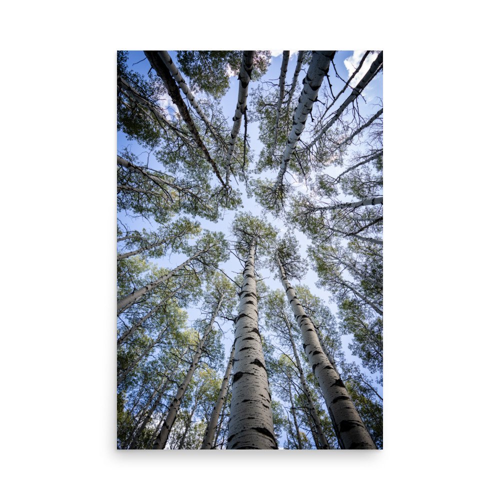 enhanced-matte-paper-poster-(in)-24x36-front-67a448281e6f5.jpg