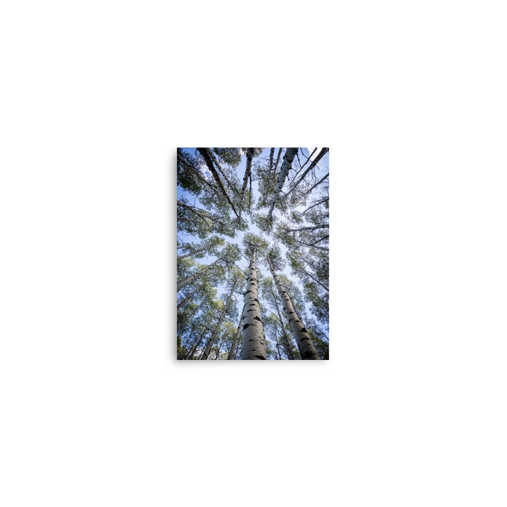 enhanced-matte-paper-poster-(in)-5x7-front-67a448281e794.jpg