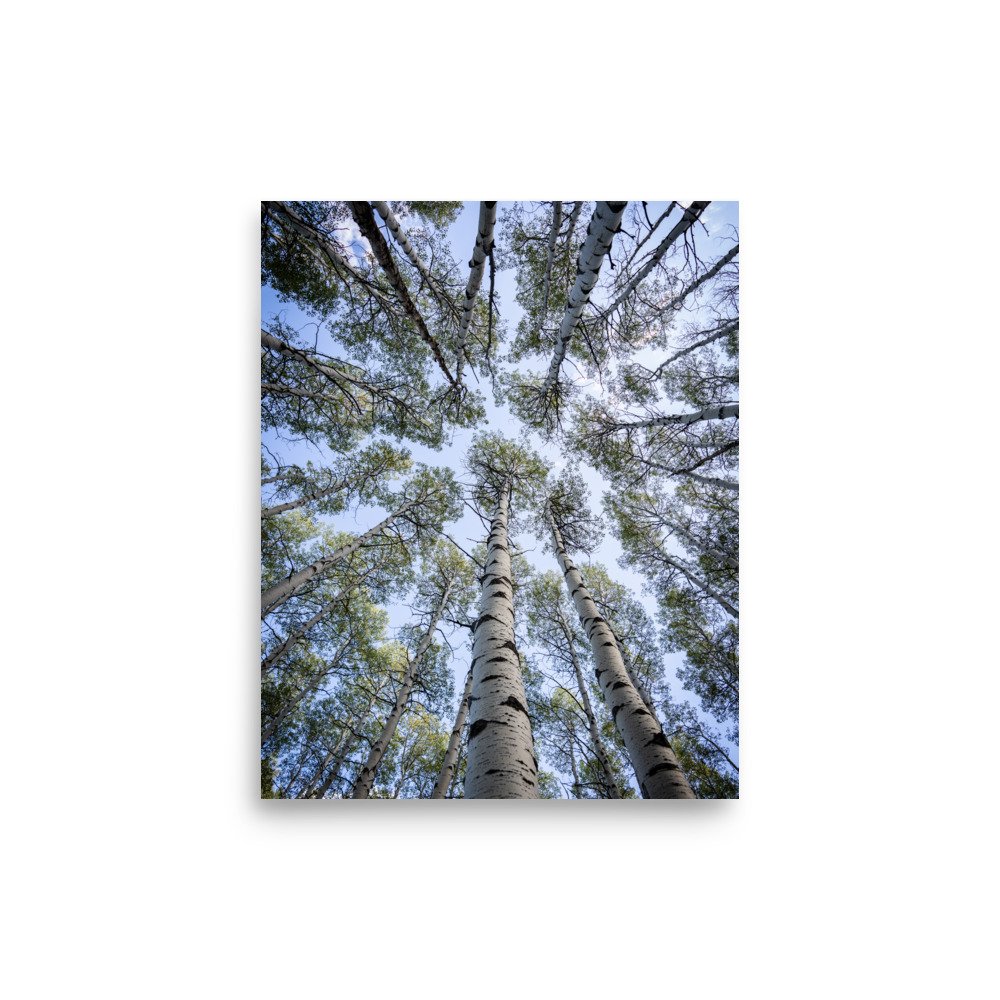enhanced-matte-paper-poster-(in)-8x10-front-67a448281e82e.jpg