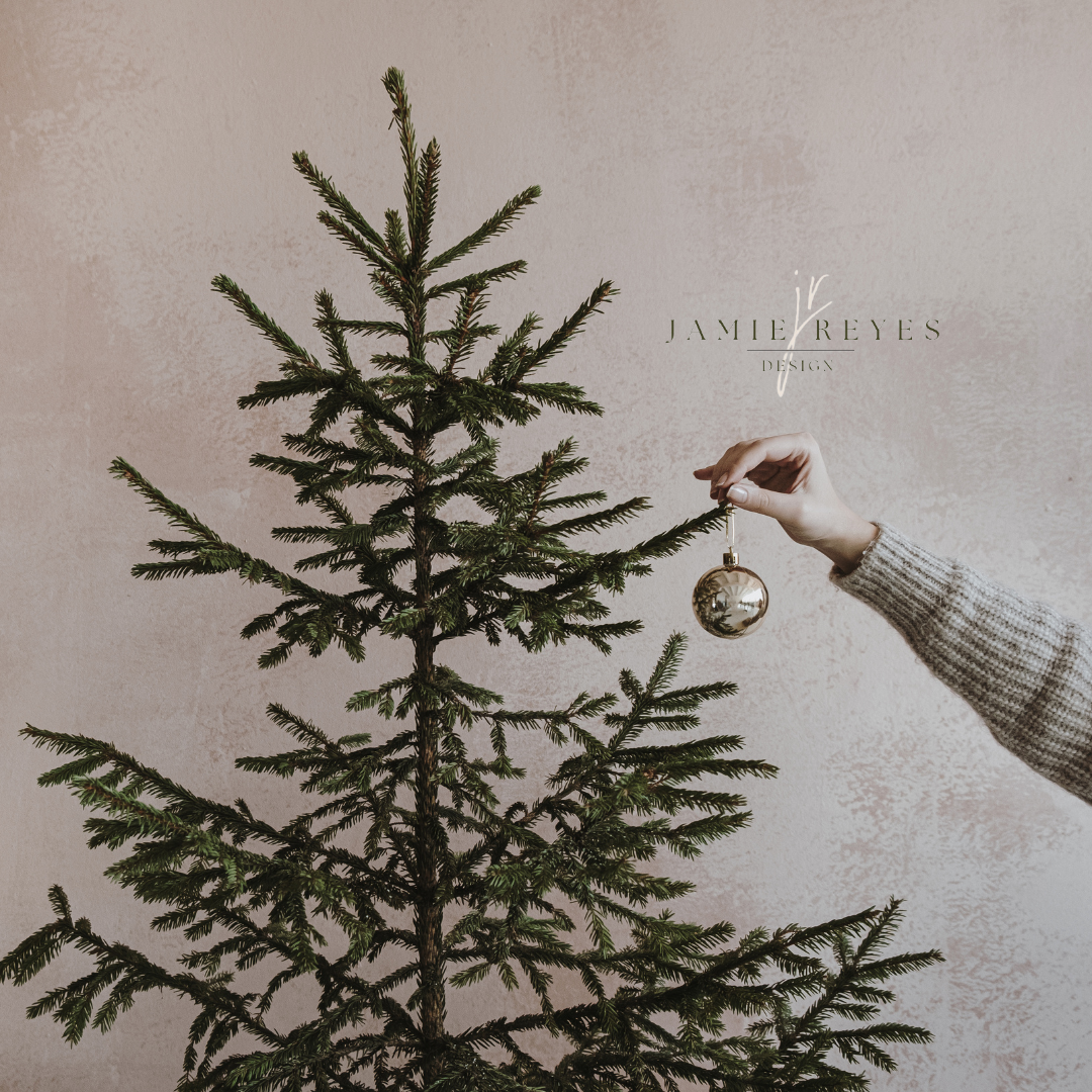 Designer on Call — JAMIE REYES DESIGN - VIRTUAL INTERIOR DESIGN