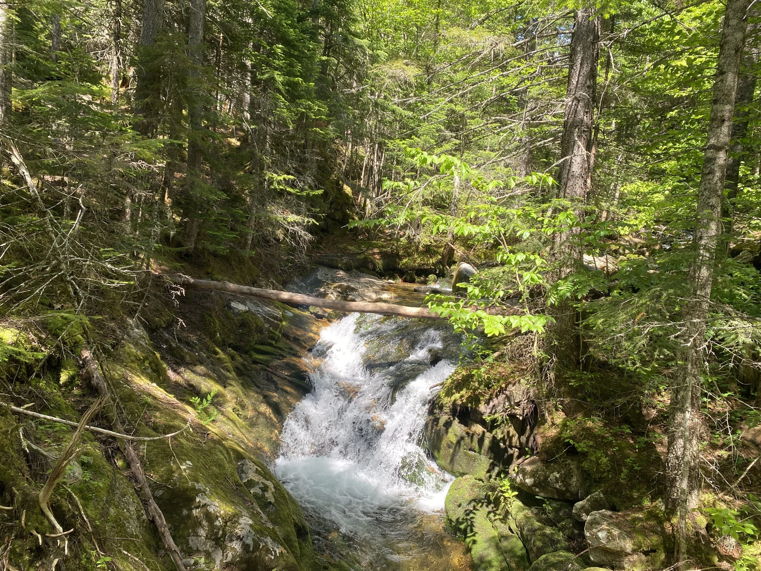 IMG_9512.JPG