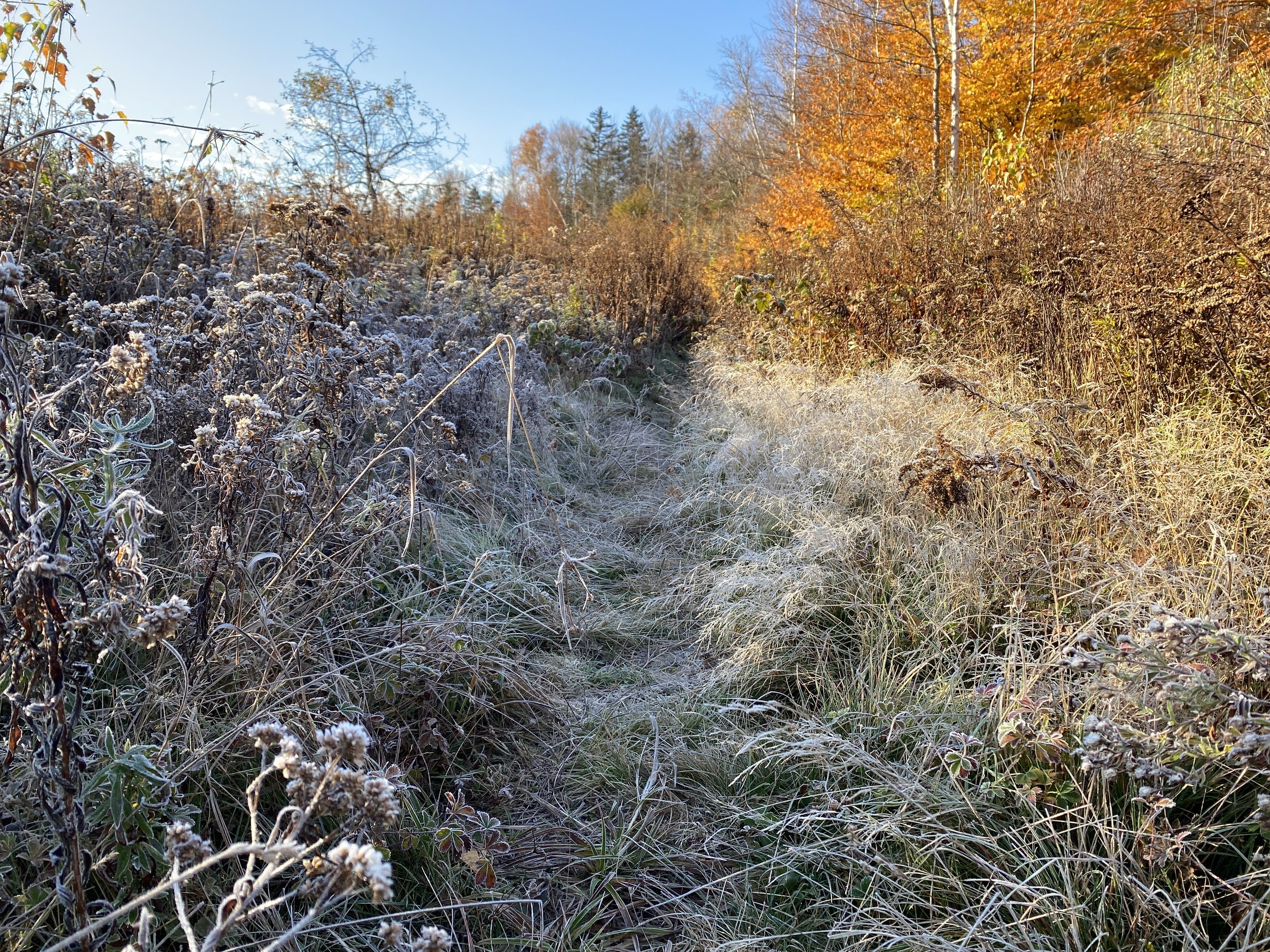 IMG_8788.JPG