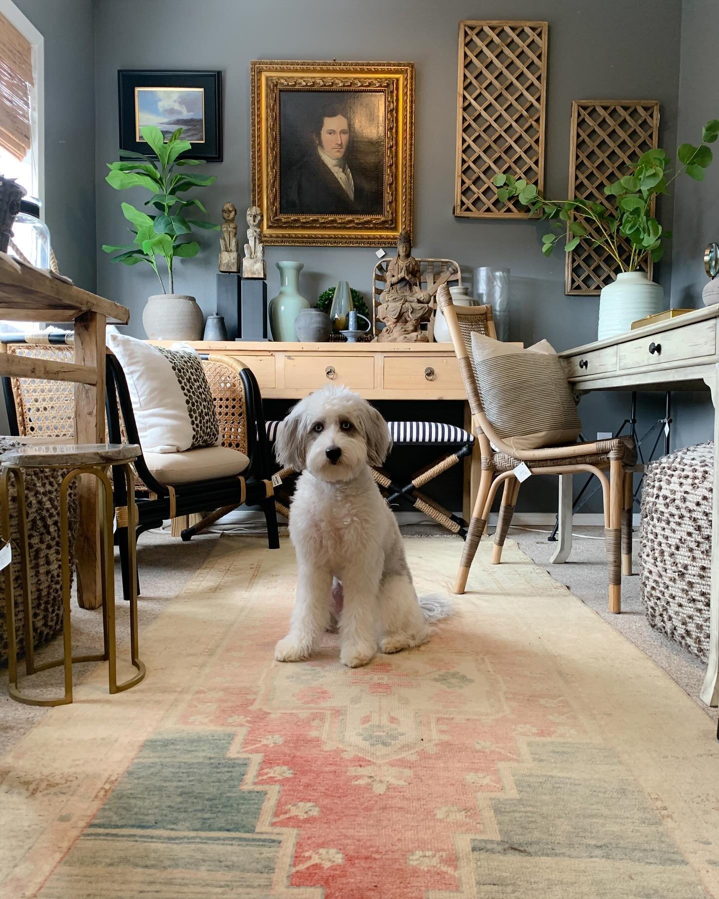 Shop dogs 🐶🤍 Home to see you this weekend!!
.
.
.
#interiorstyling #decorating #interiorinspo #interiordesigner #interiordesign #interiordesignideas #interiordesigninspiration #interiordesigninspo #interiordesignersofinsta #interiordesigntrends #in