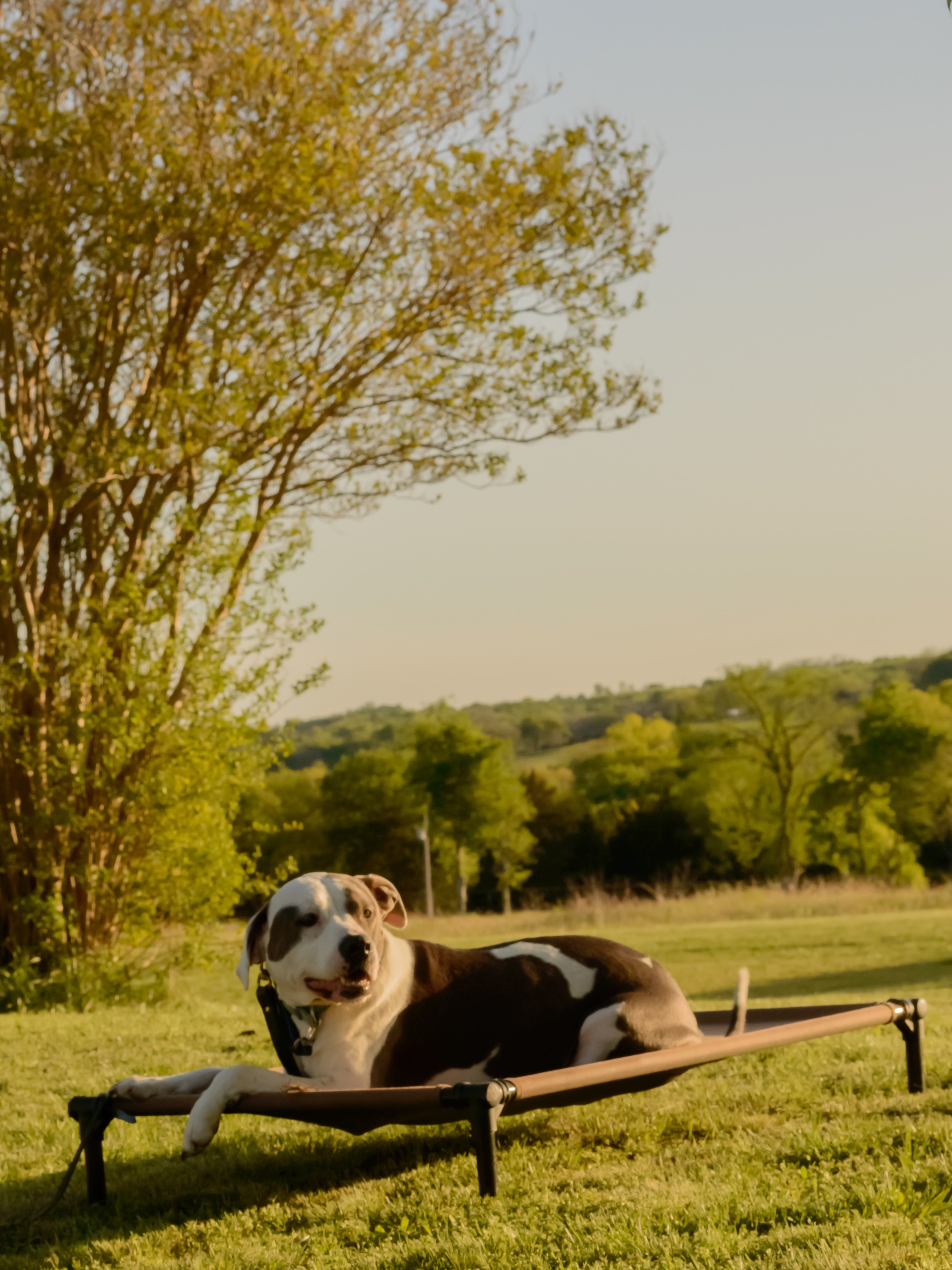 Khaleesi - Place.jpg