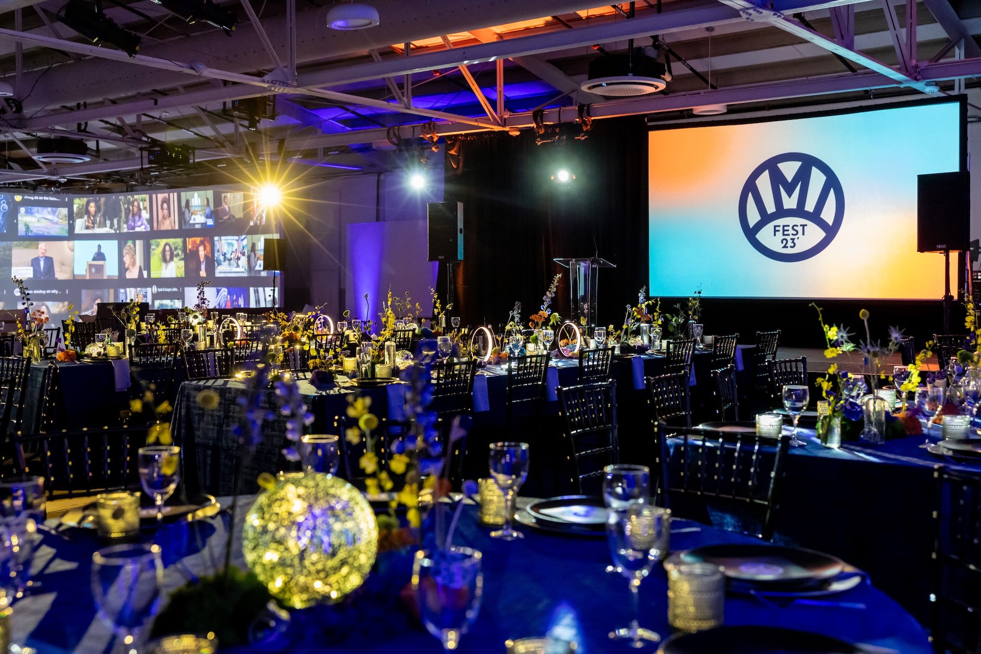 IMI FESTIVALWild Sky Events38.jpg