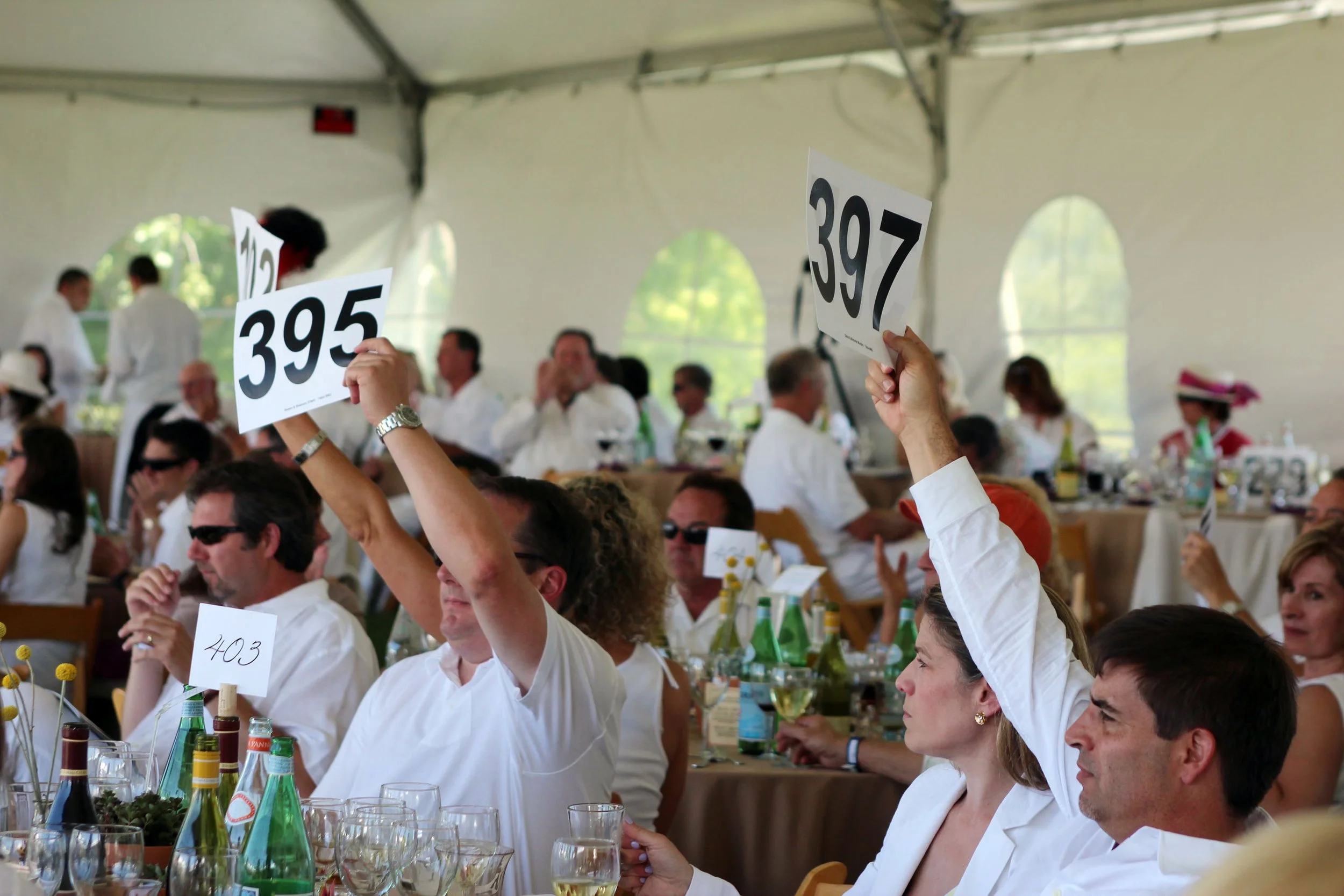 MAWWild Sky Events48.jpg