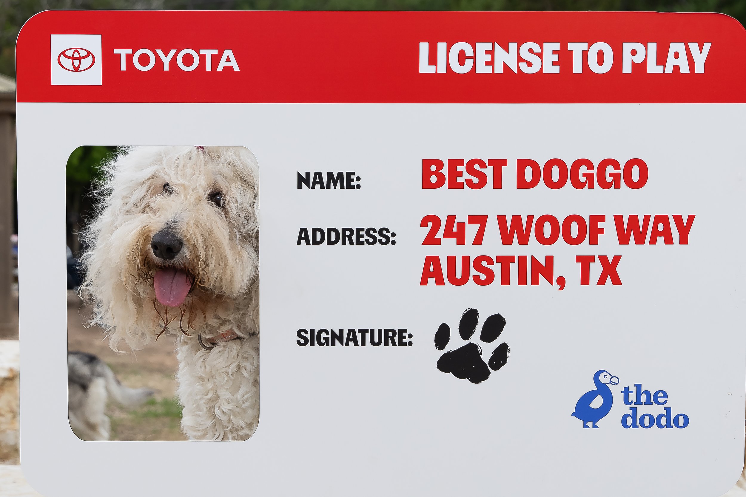 Toyota_Puptopia_Activation1.jpg