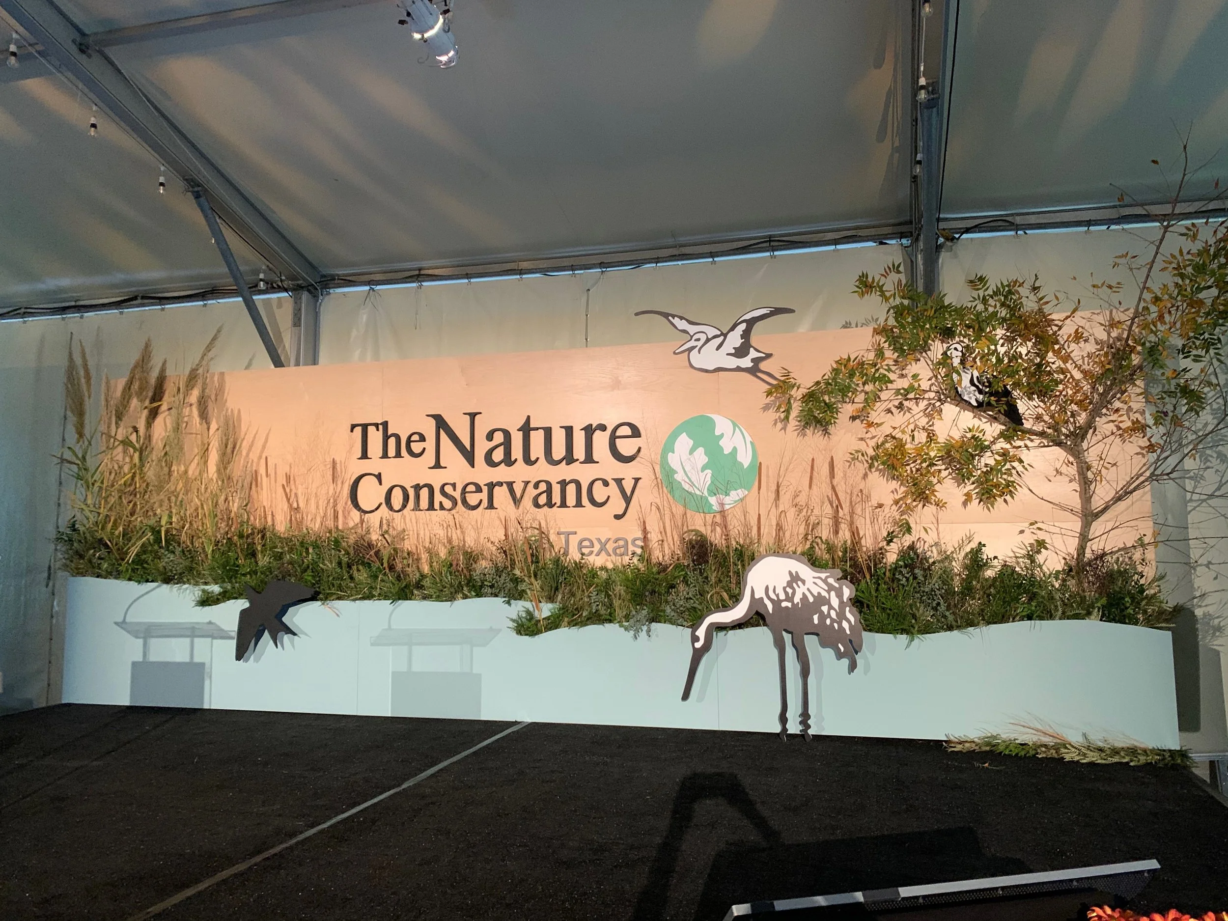 2019-11-07 13.32.14.jpeg