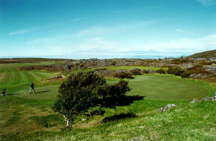 16 green.jpg