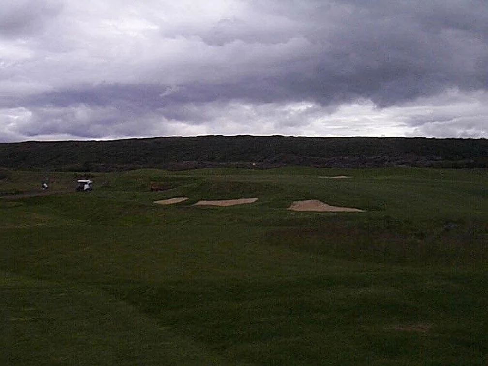 GREEN-10.JPG