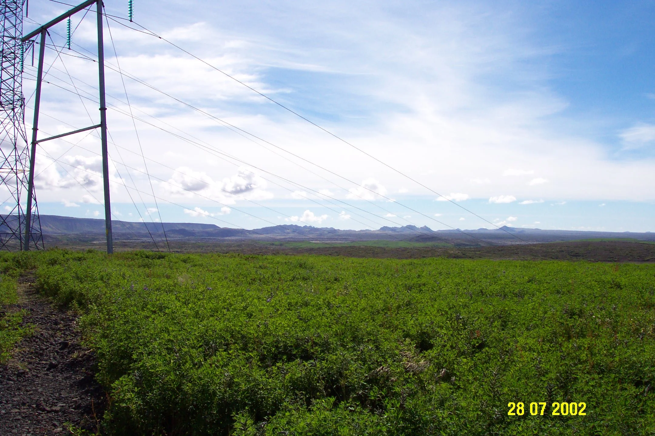 DCP_0495.jpg
