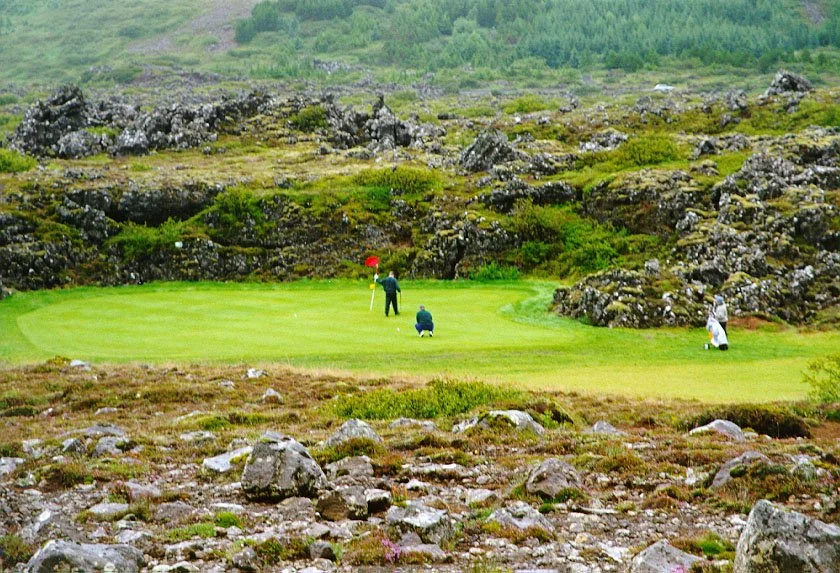 7-green-2.jpg
