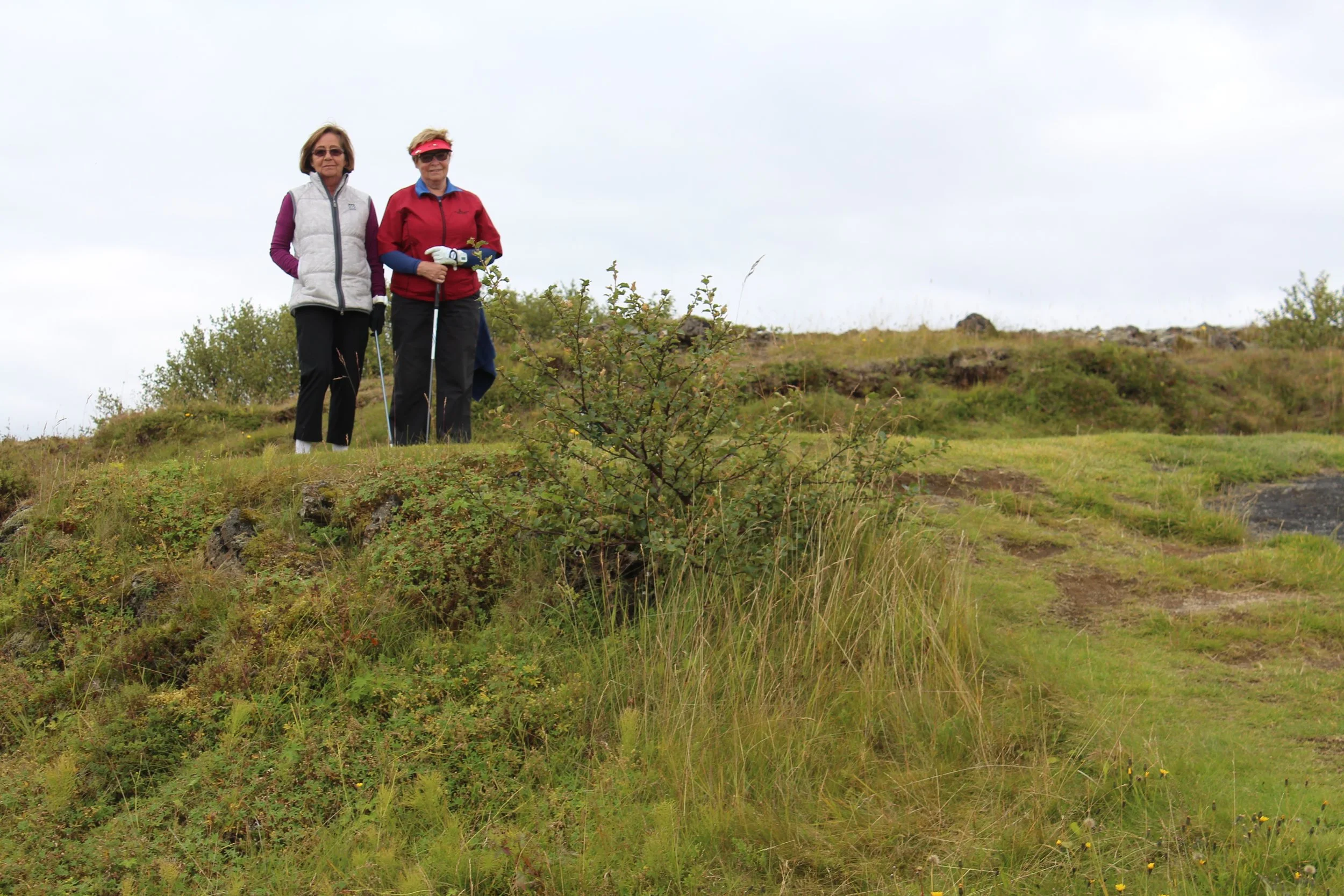 2014-08-23 16.52.57.jpg