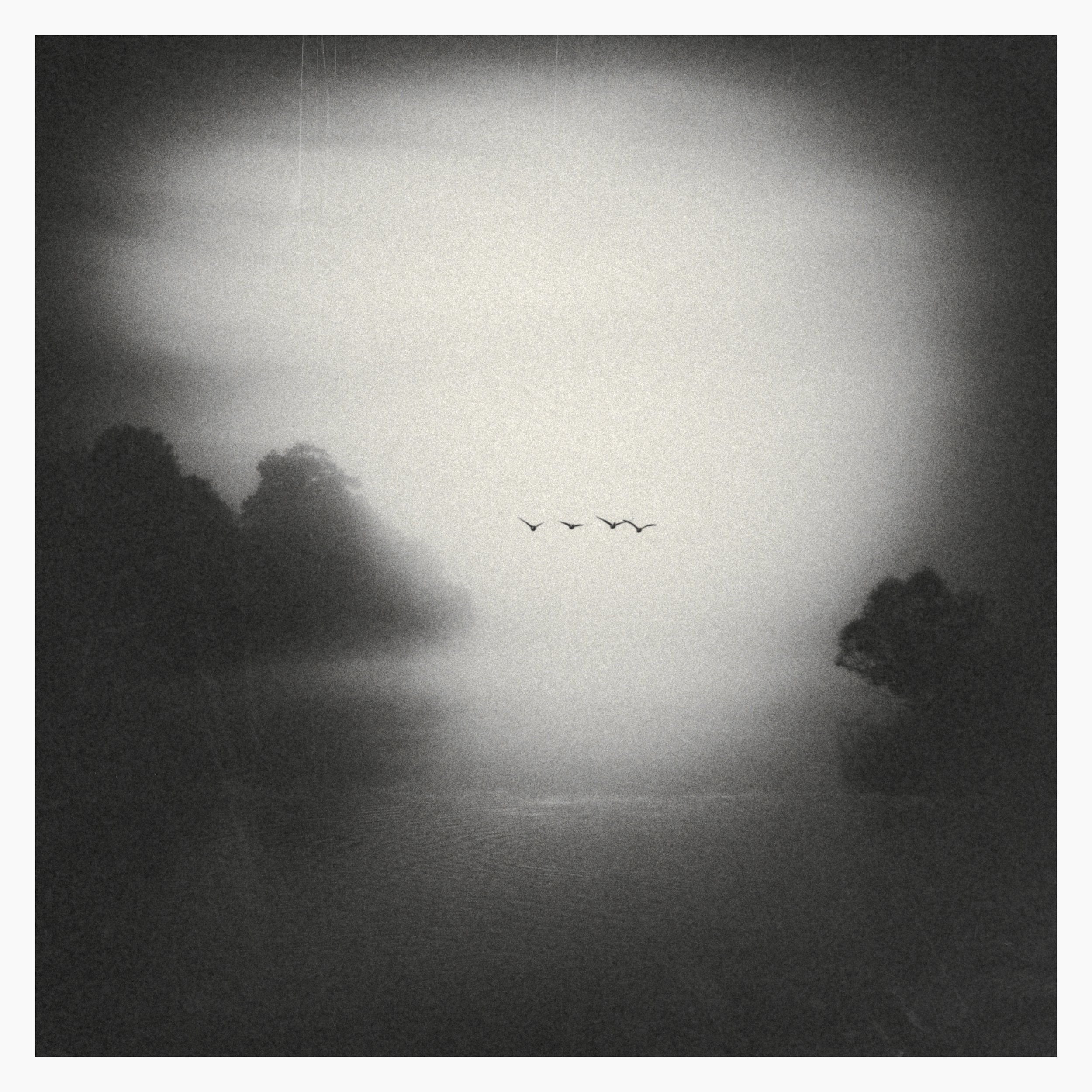 Four-Birds-Noir-Exp7.jpg