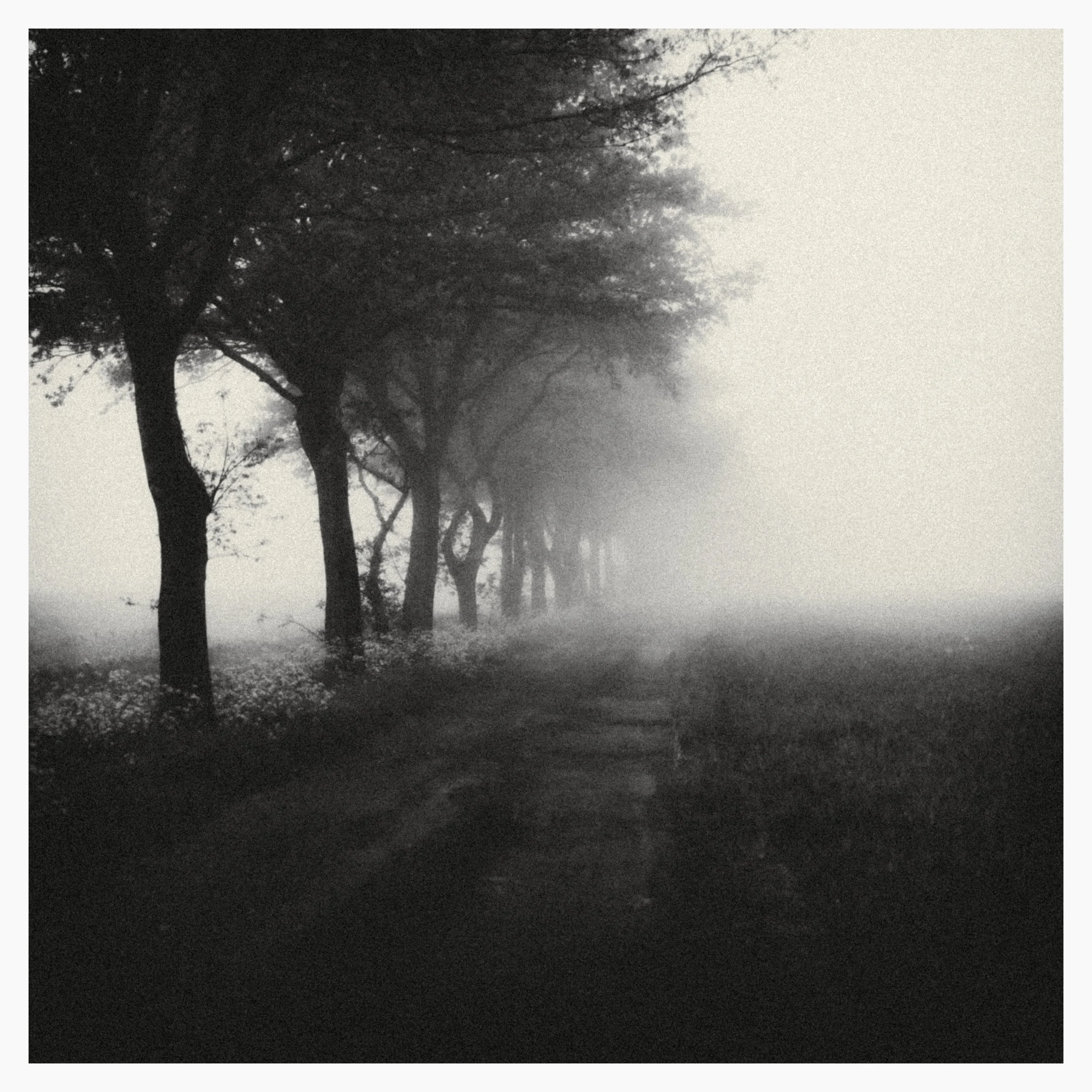 Kent-Noir-Lash-edit.jpg