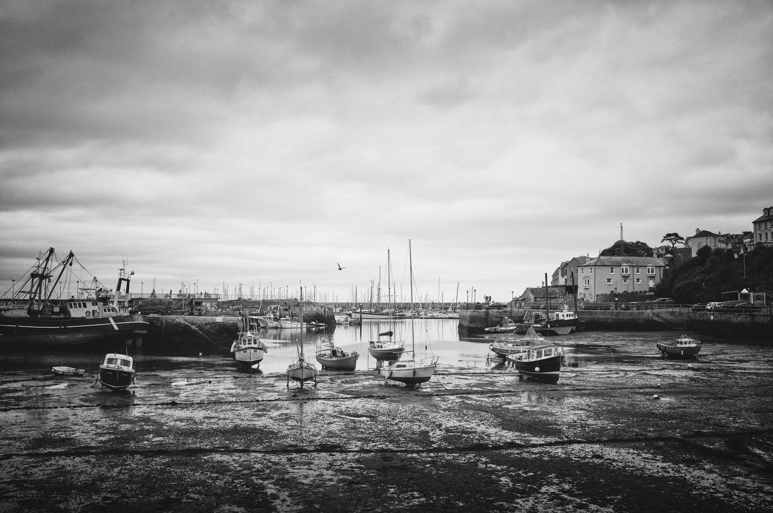 Brixham Low Tide 1.jpg