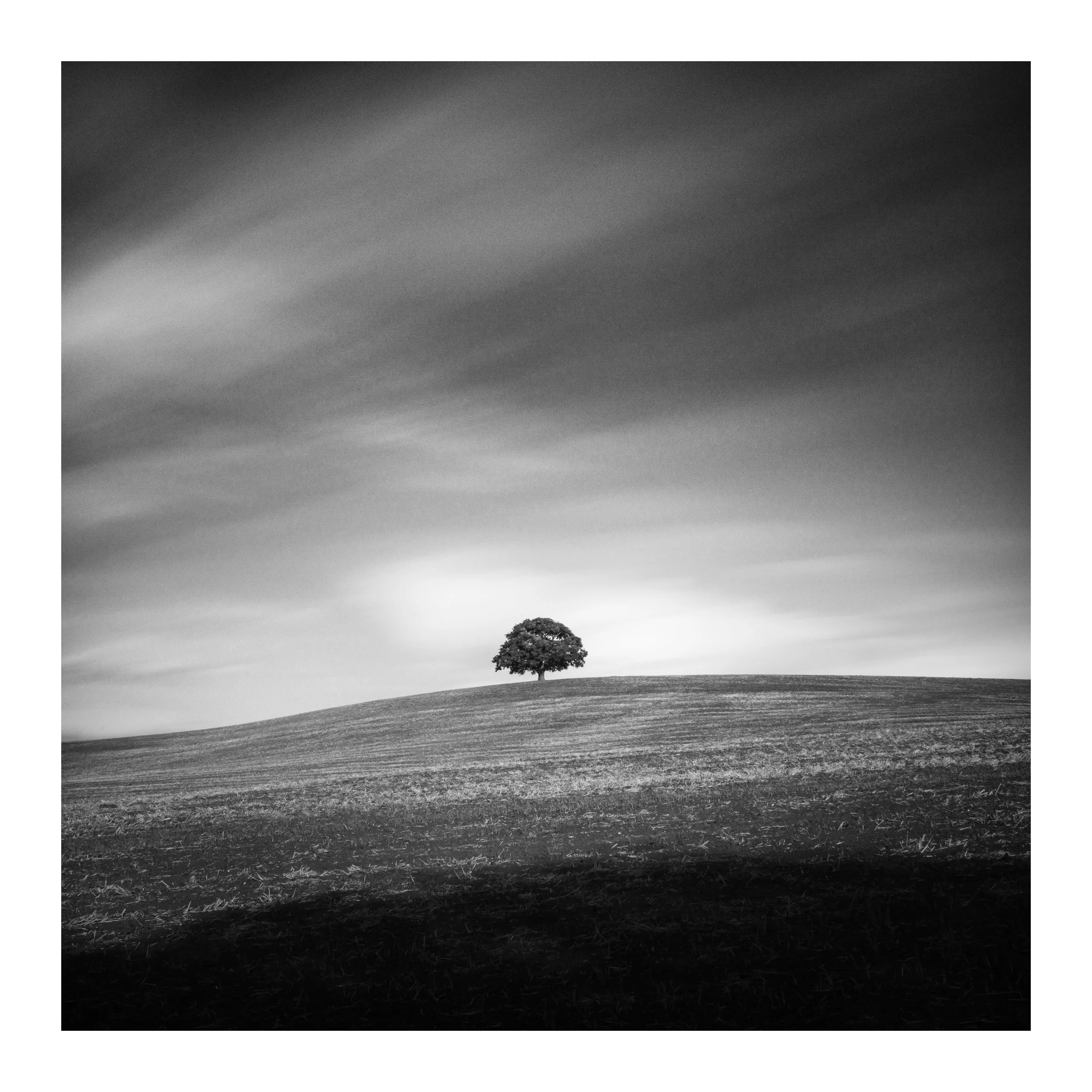 Lone-Tree-Long-Exp-August.jpg