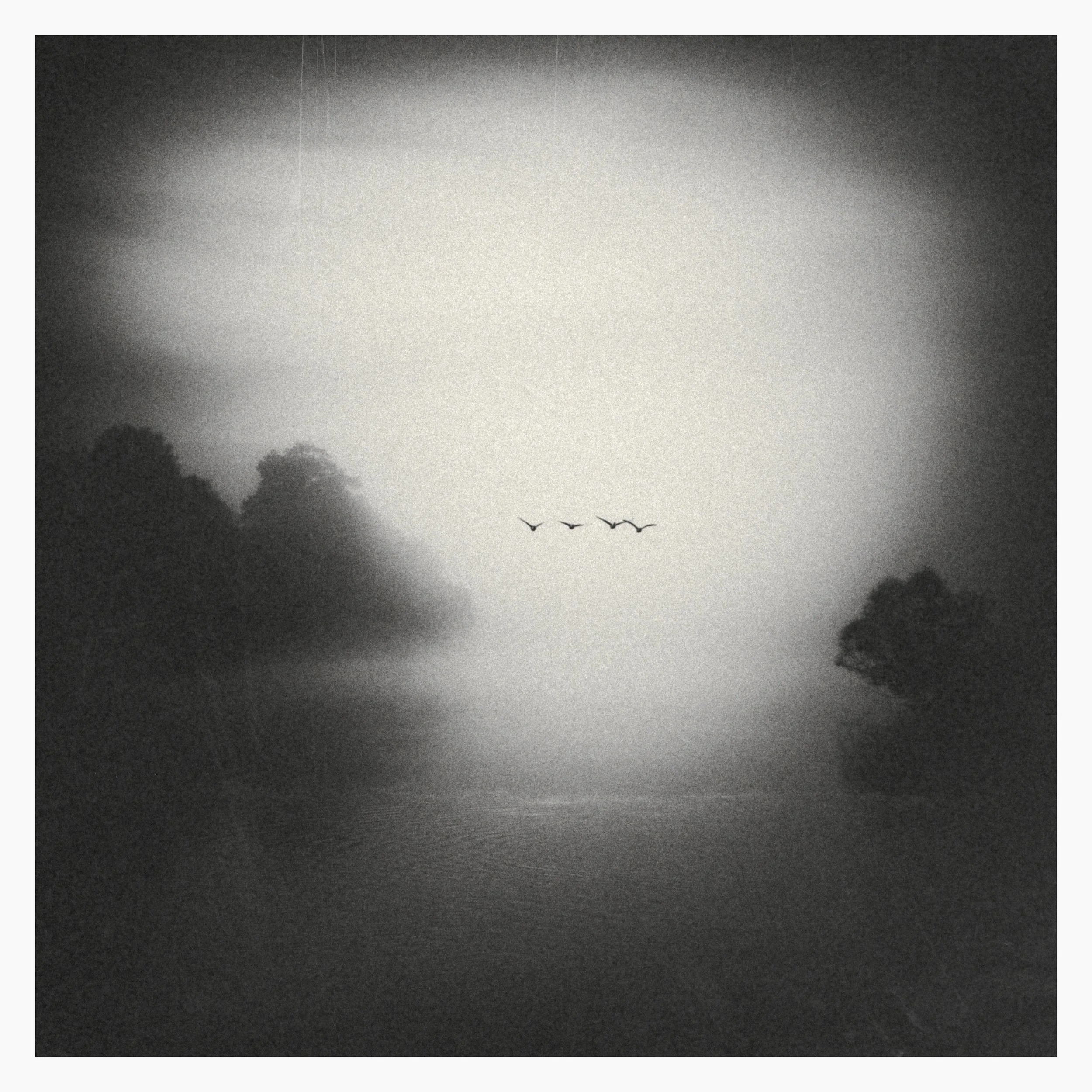 Four-Birds-Noir-Exp7.jpg
