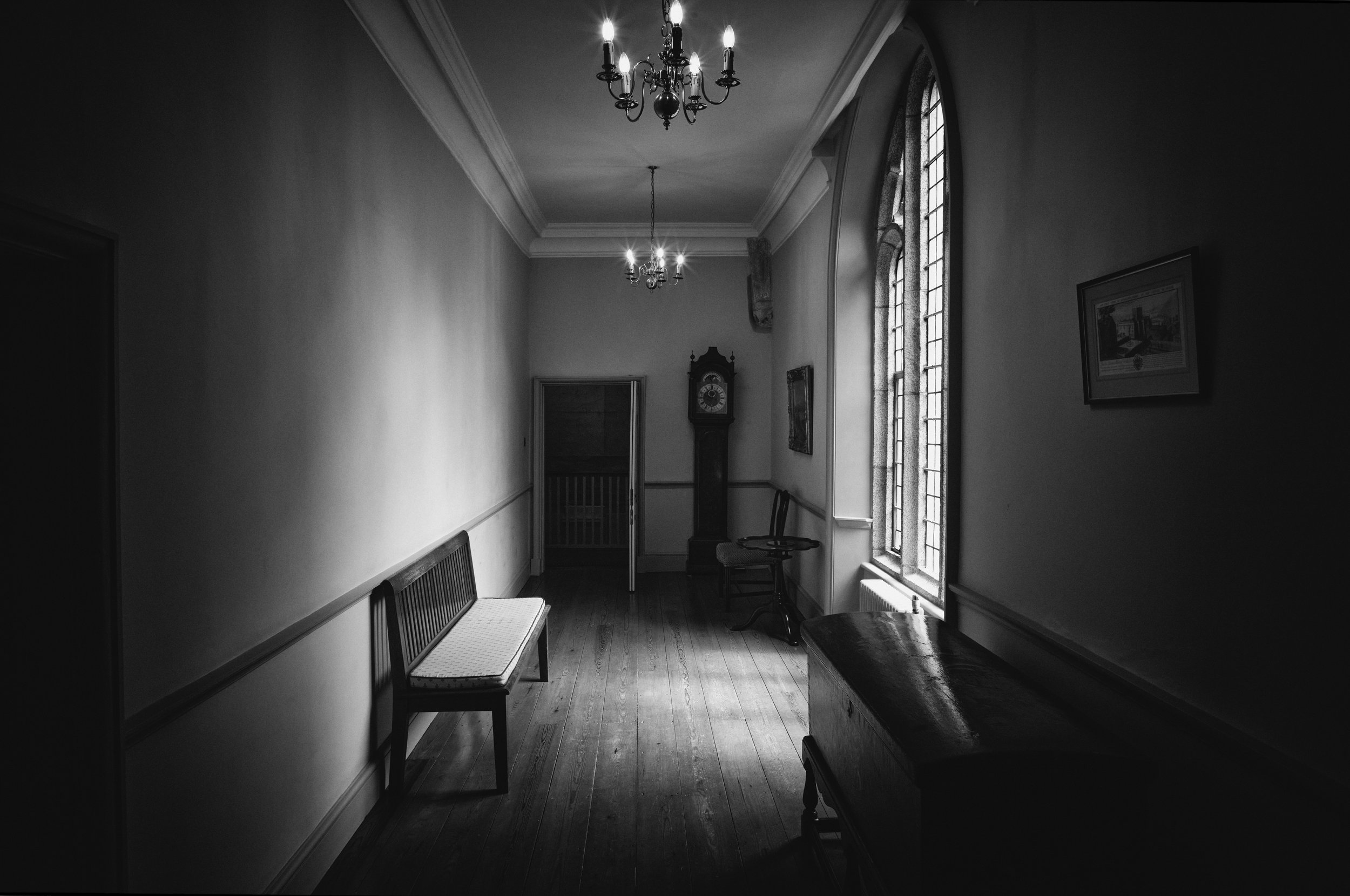 Dartmoor Trees 16.jpg