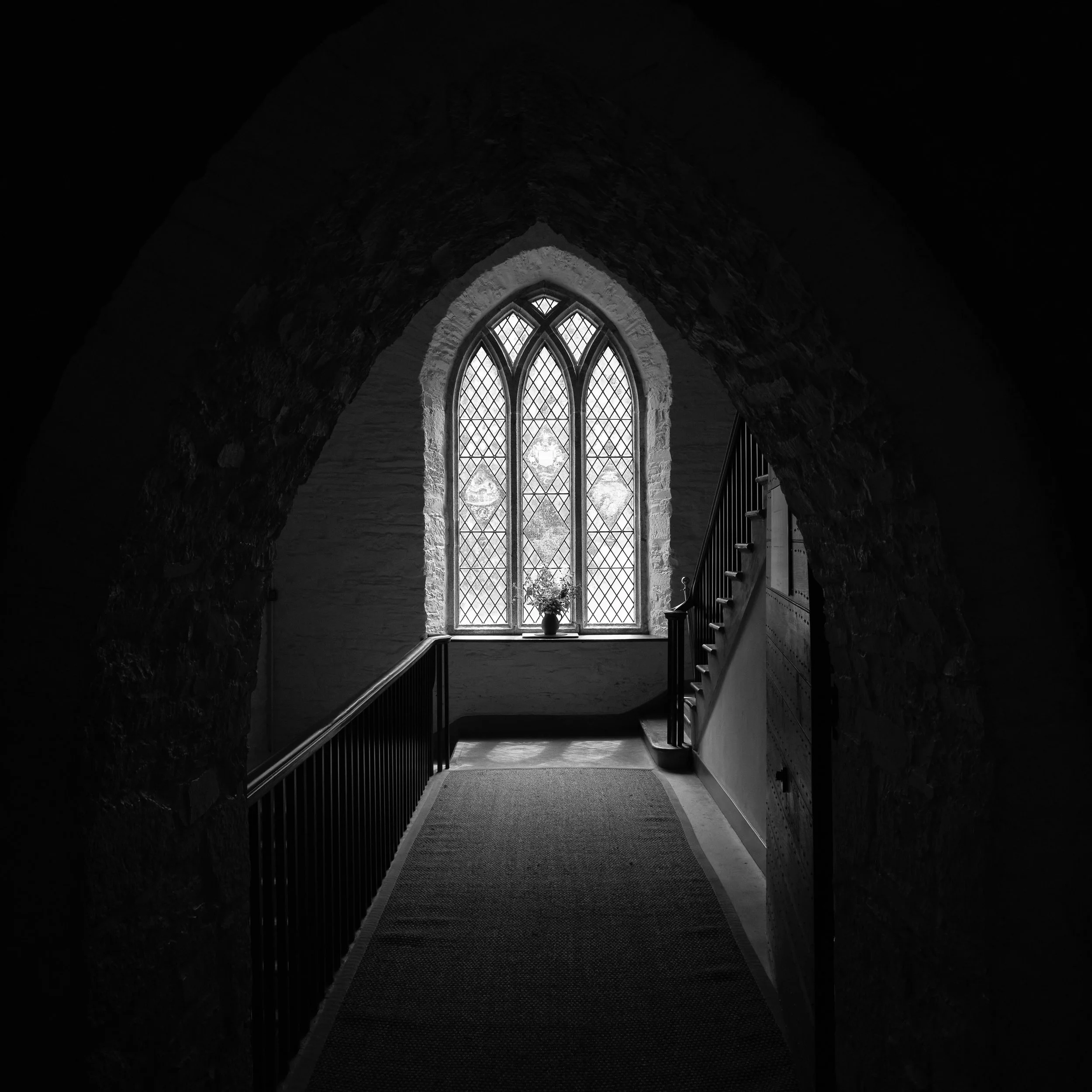 Dartmoor Trees 17.jpg