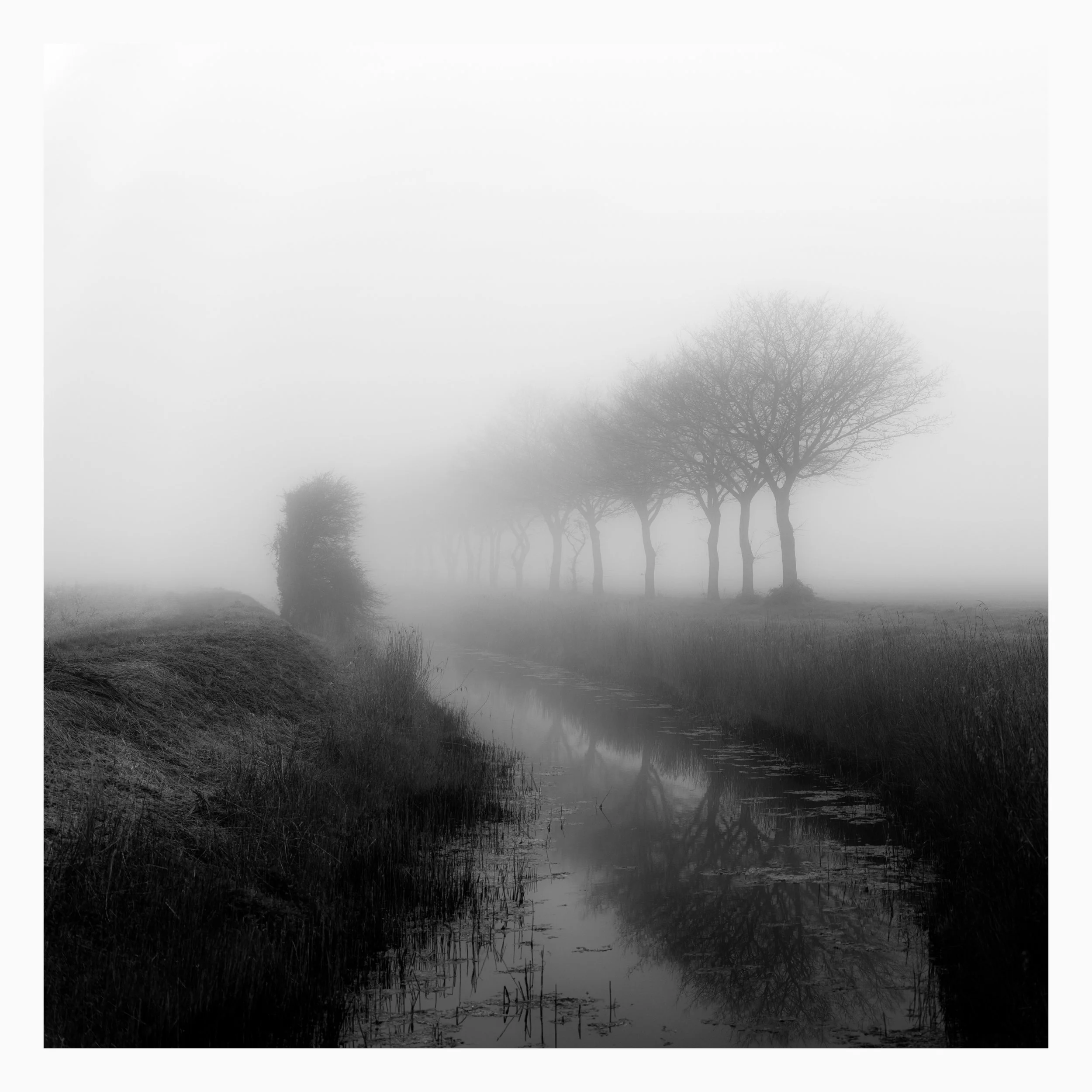 Kent-Marsh-Fog-Study.jpg