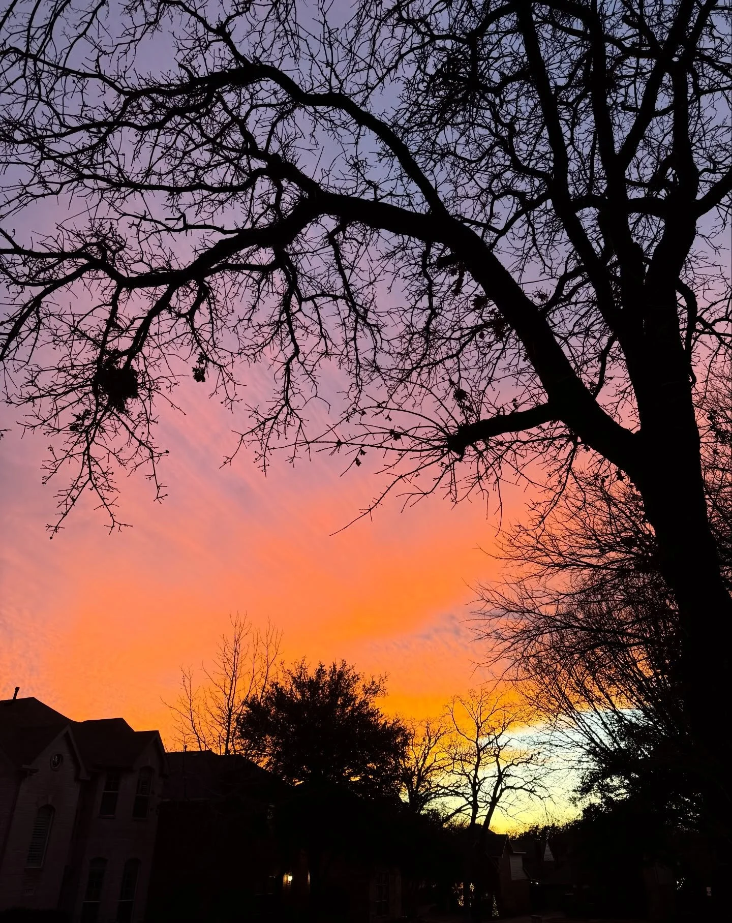 It&rsquo;s been a tough few days, but a sunset like this feels like the universe giving me a little moment to breathe and shut my brain up. 

#winter #wintersunset #shutupbrain