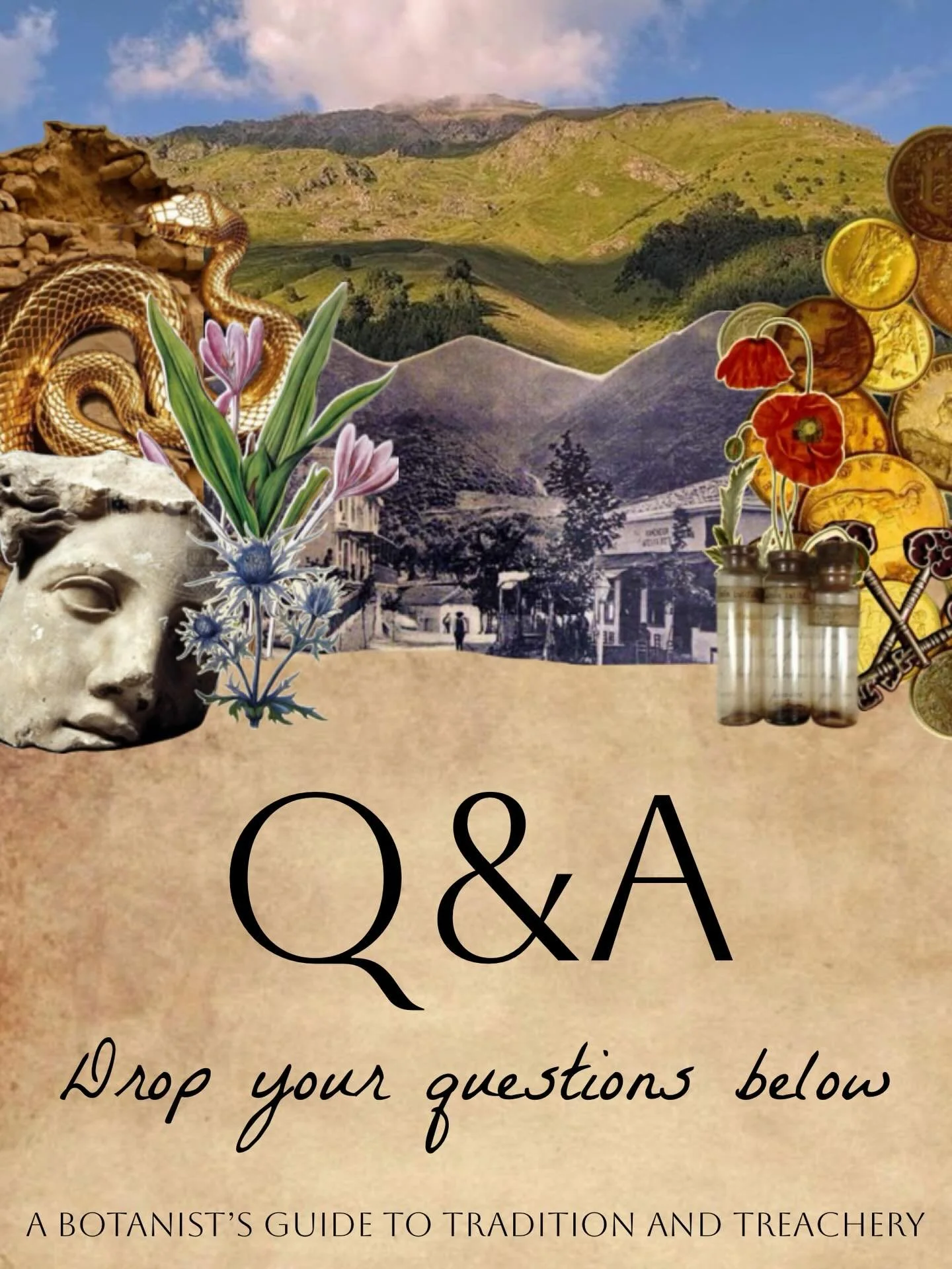 A Botanist&rsquo;s Guide to Tradition and Treachery comes out in just a little less than two months. What do you want to know about Saffron&rsquo;s latest adventure?

#historicalfiction #mystery #murdermystery #mysterybooks