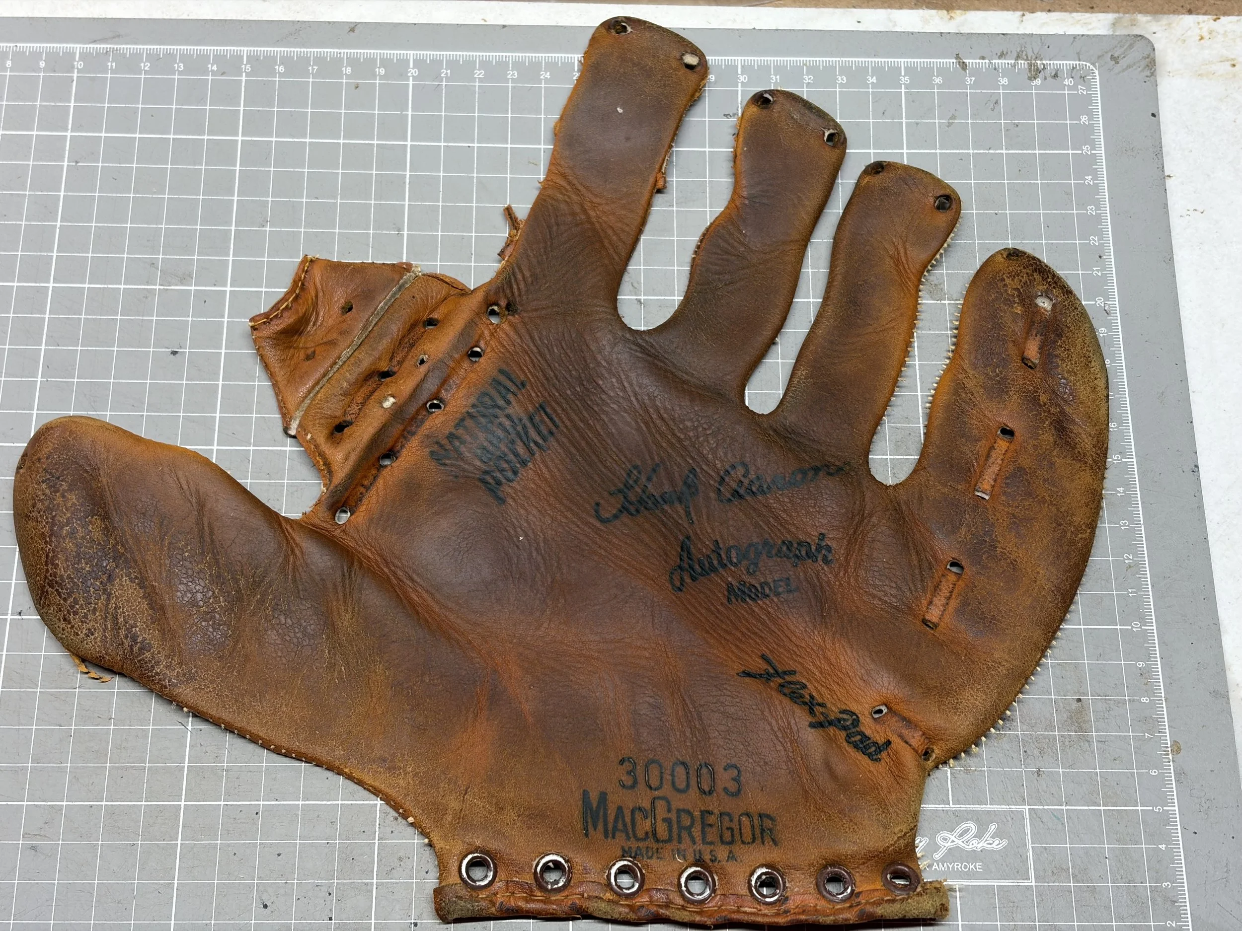 IMG_1859.jpeg