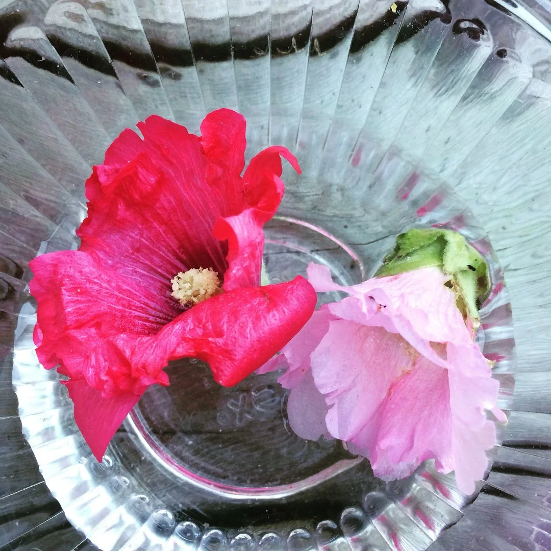 Spring Flower and Cupcake Crawl