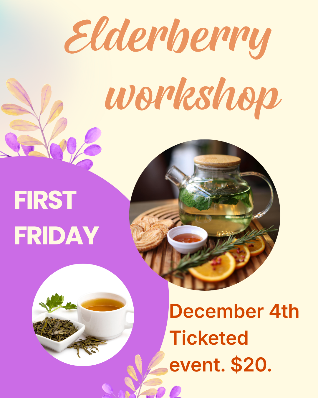First Friday Elderberry Syrup Workshop