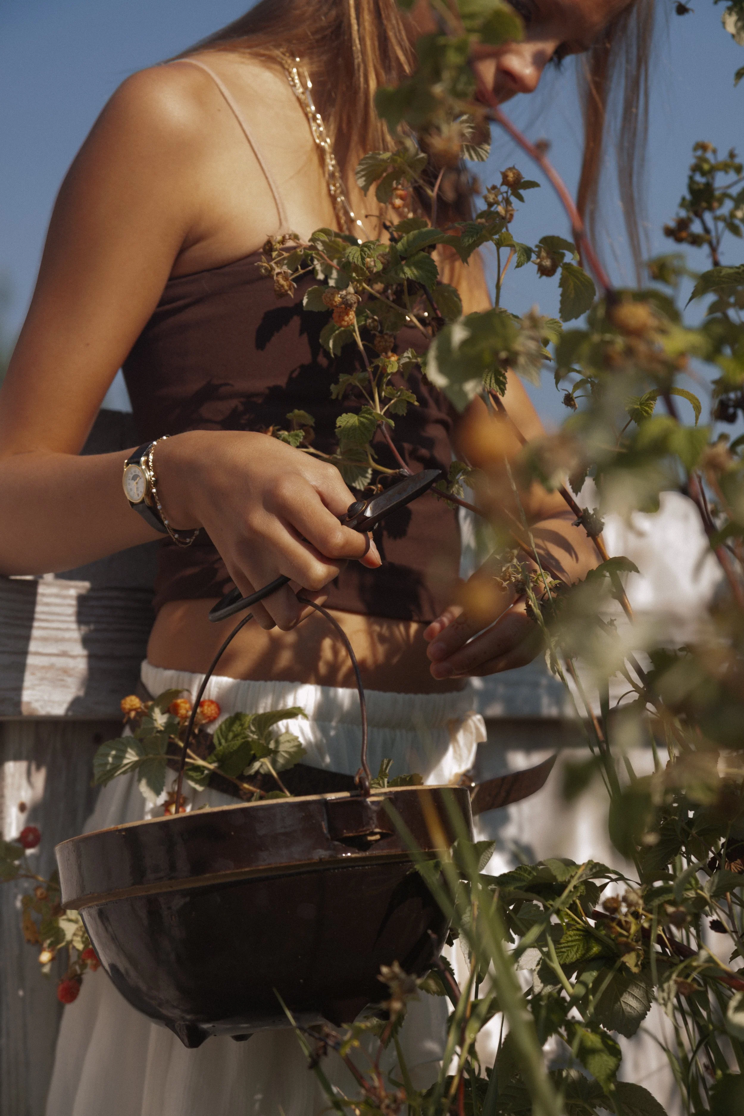 bykate_graze_morninggarden_0826_002.jpg