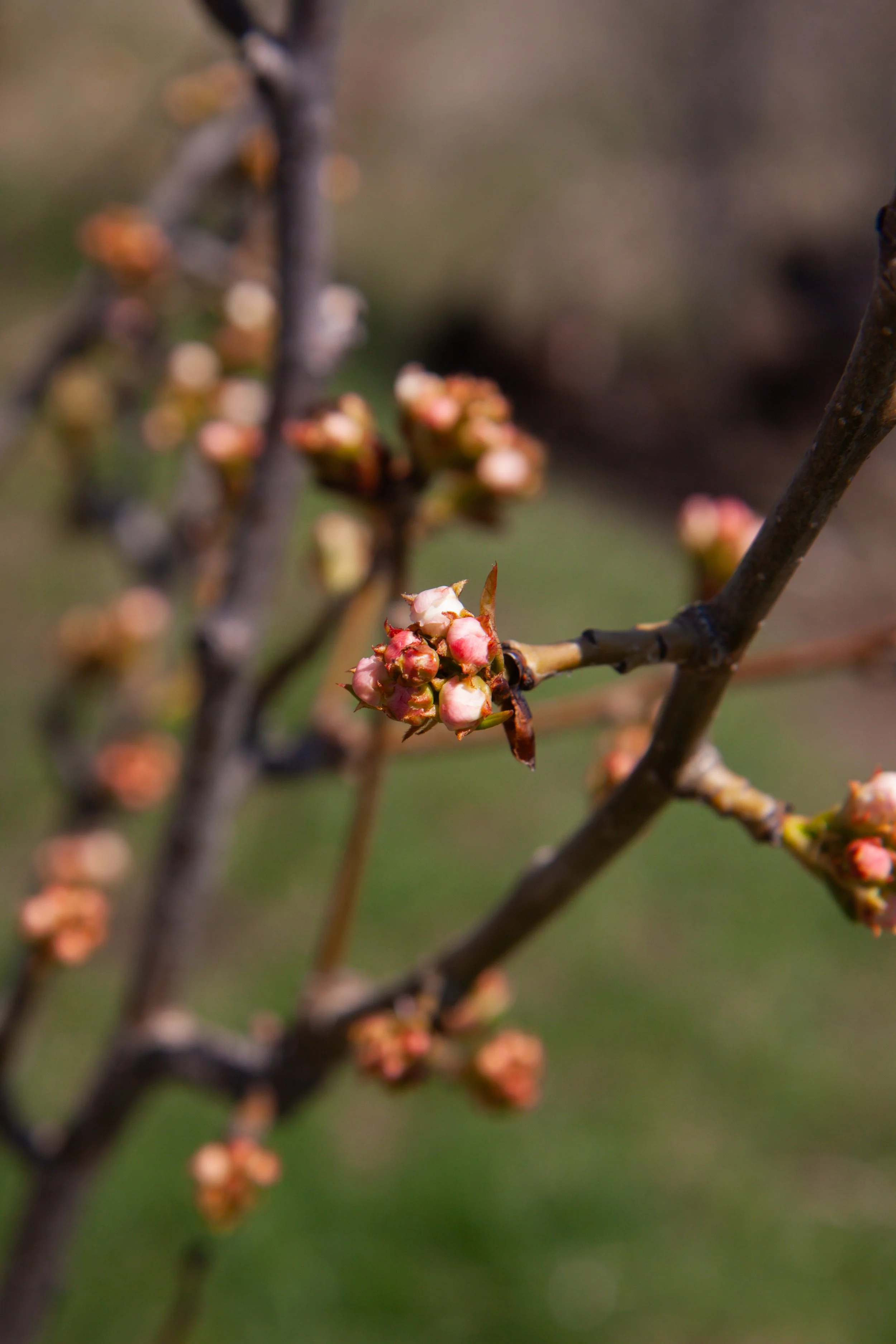 bykate_graze_ranch 050125_012.jpg