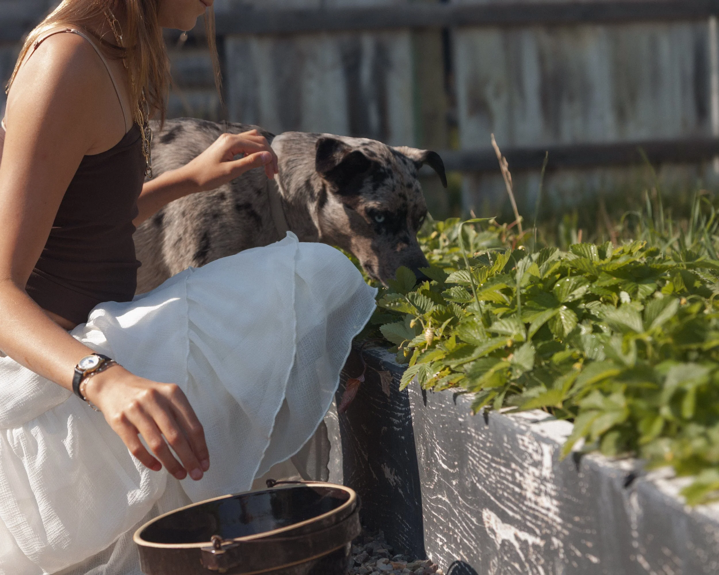 bykate_graze_morninggarden_0826_011.jpg