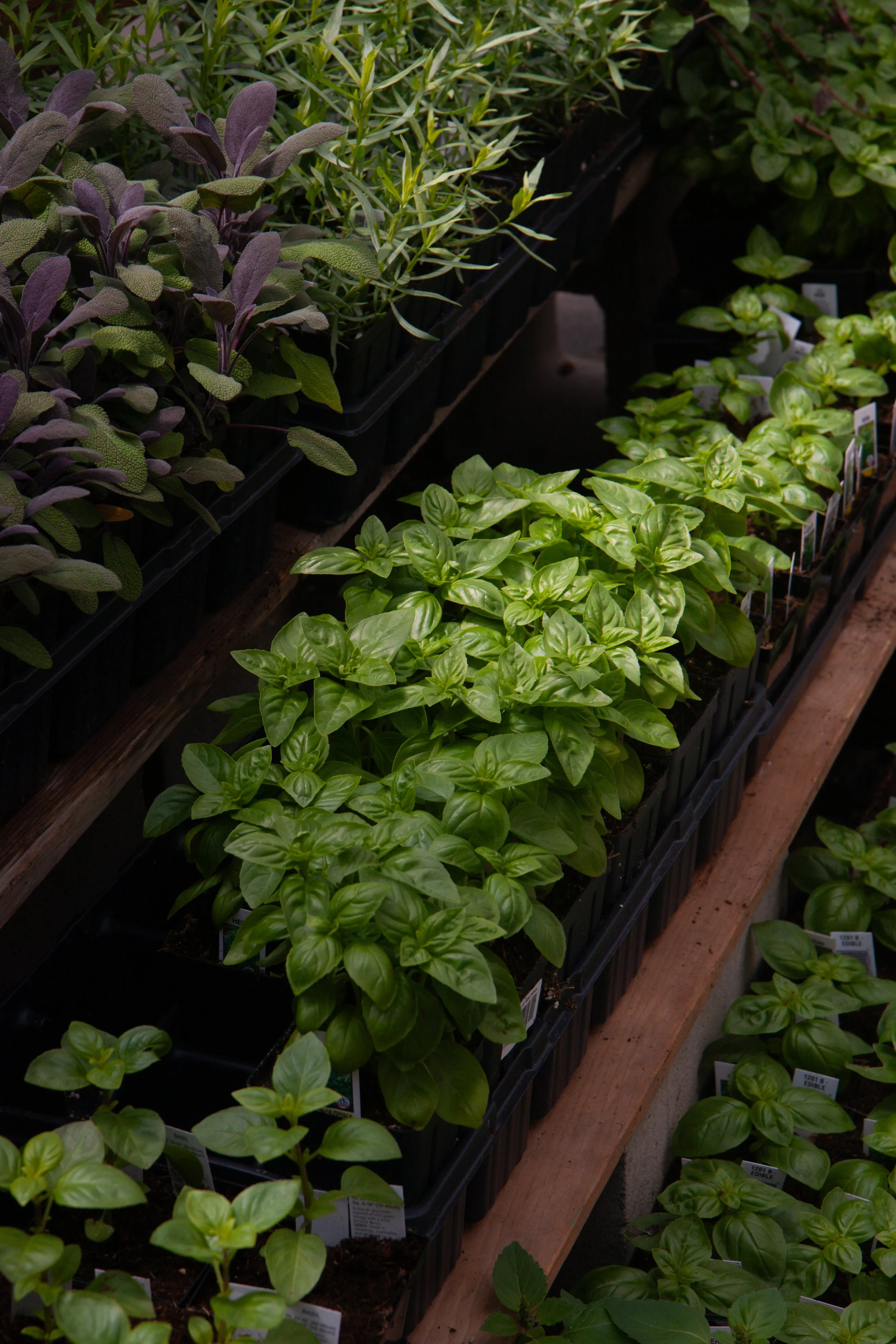 bykate_graze_shop 050125_036.jpg