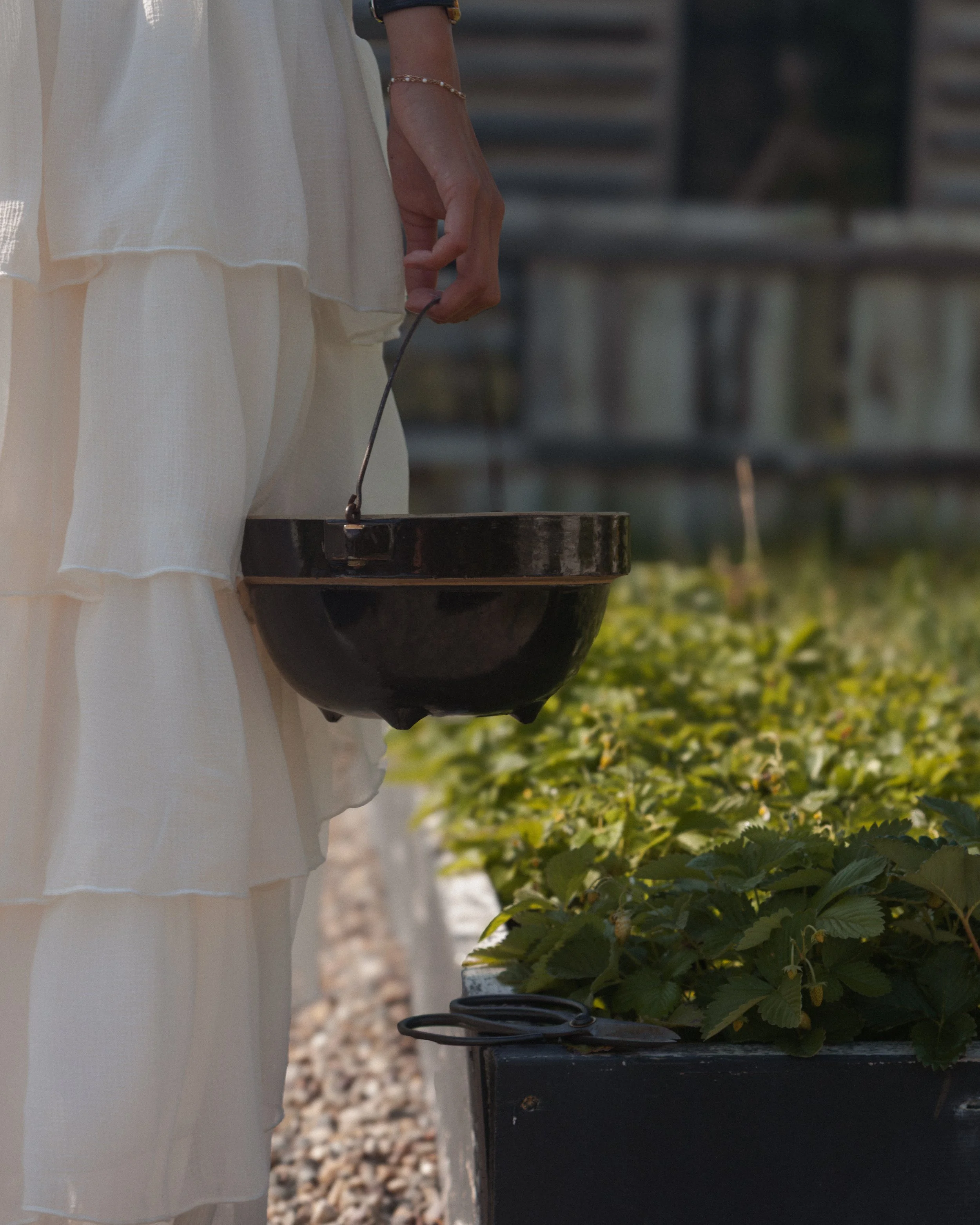 bykate_graze_morninggarden_0826_015.jpg