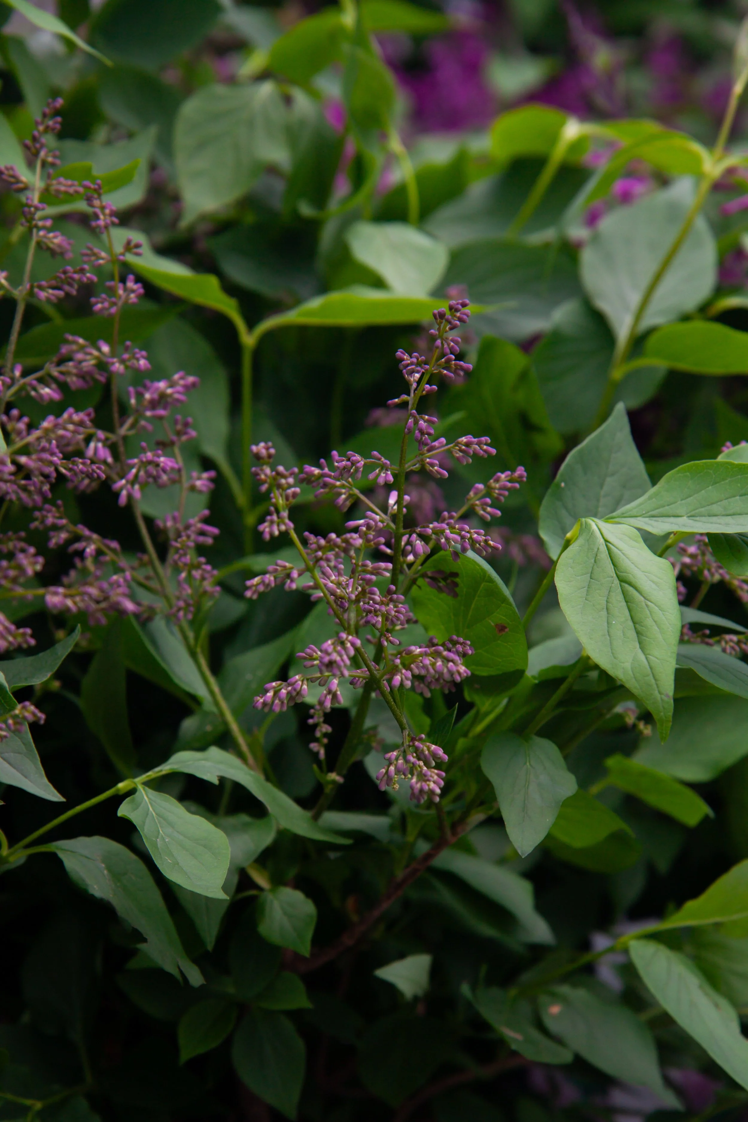 bykate_graze_shop 050125_007.jpg