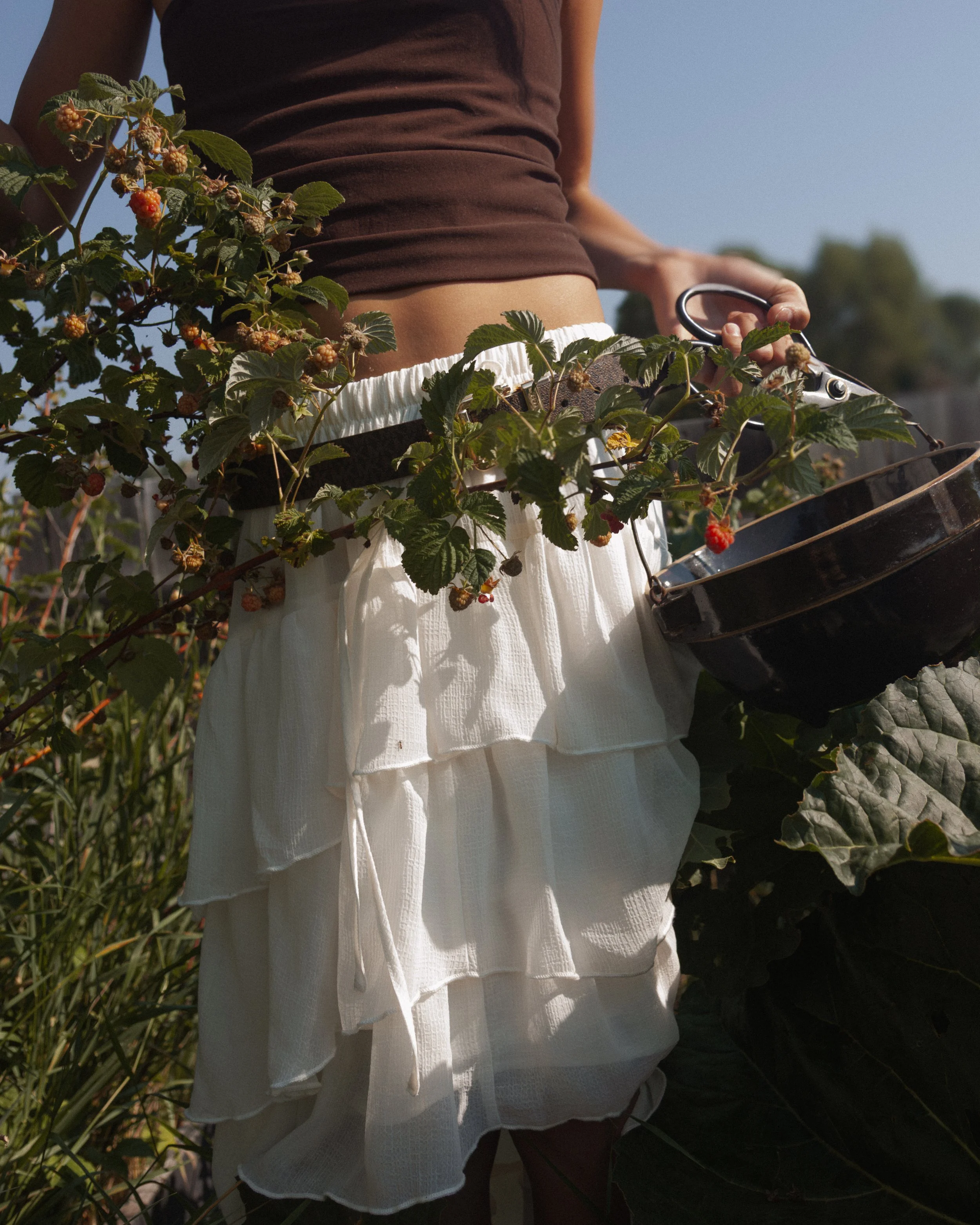 bykate_graze_morninggarden_0826_001.jpg