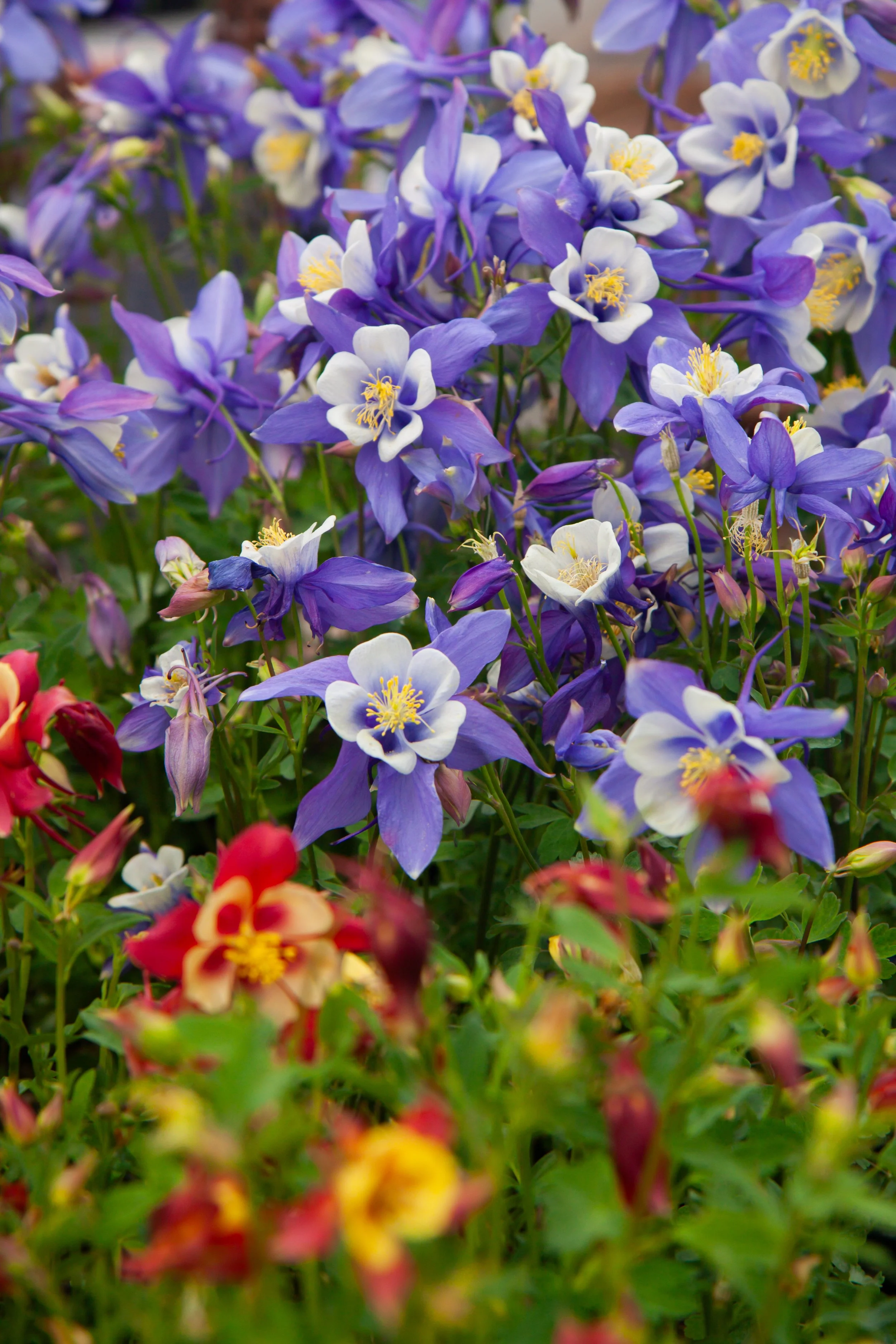 bykate_graze_shop 050125_004.jpg