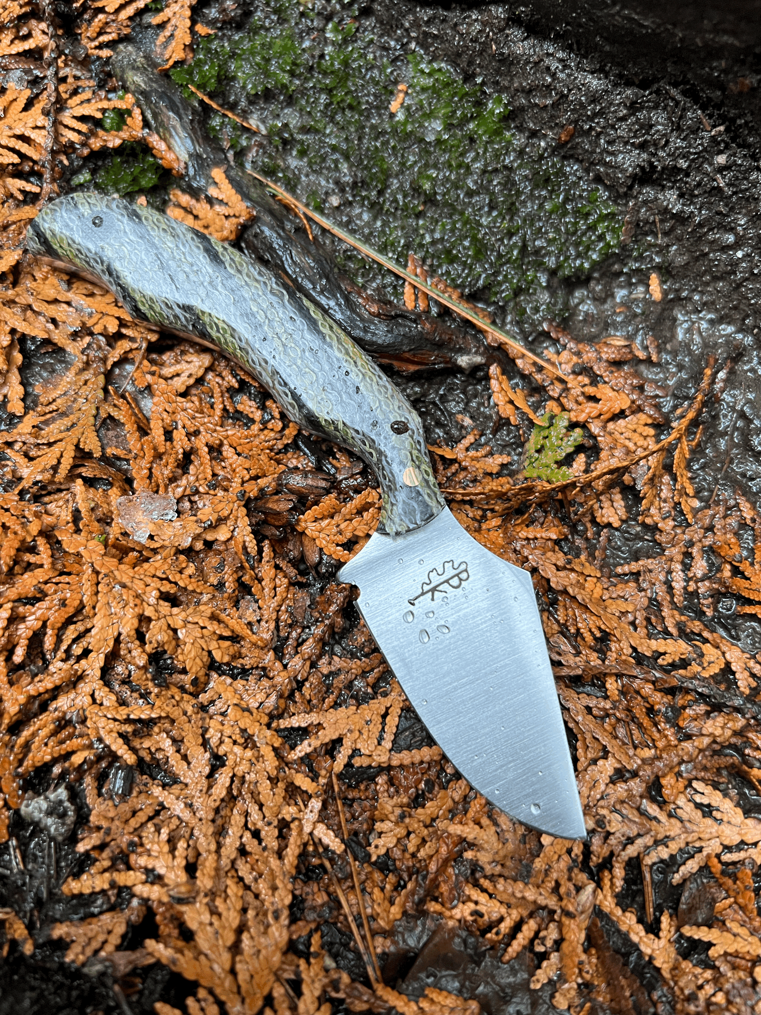 tempImagea3BT3i.gif