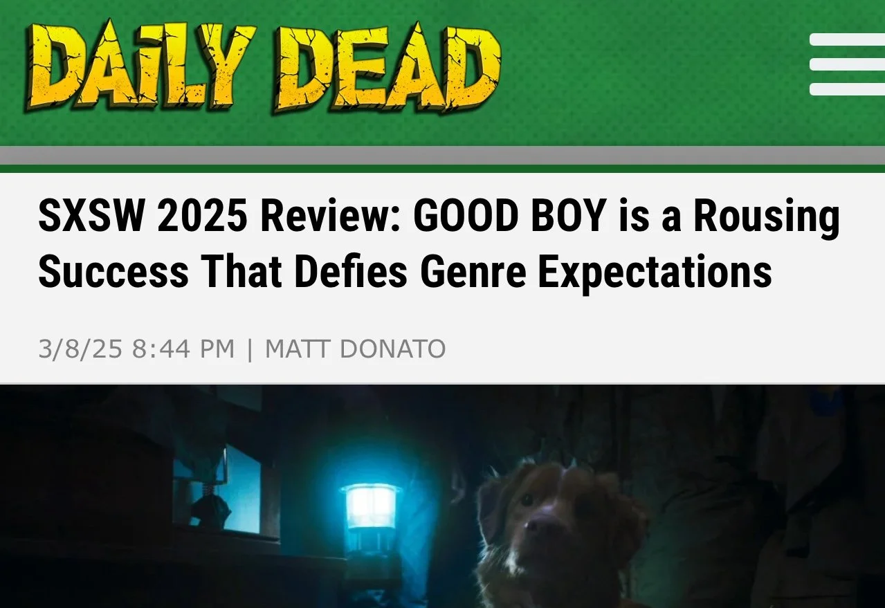 daily dead good boy.jpeg