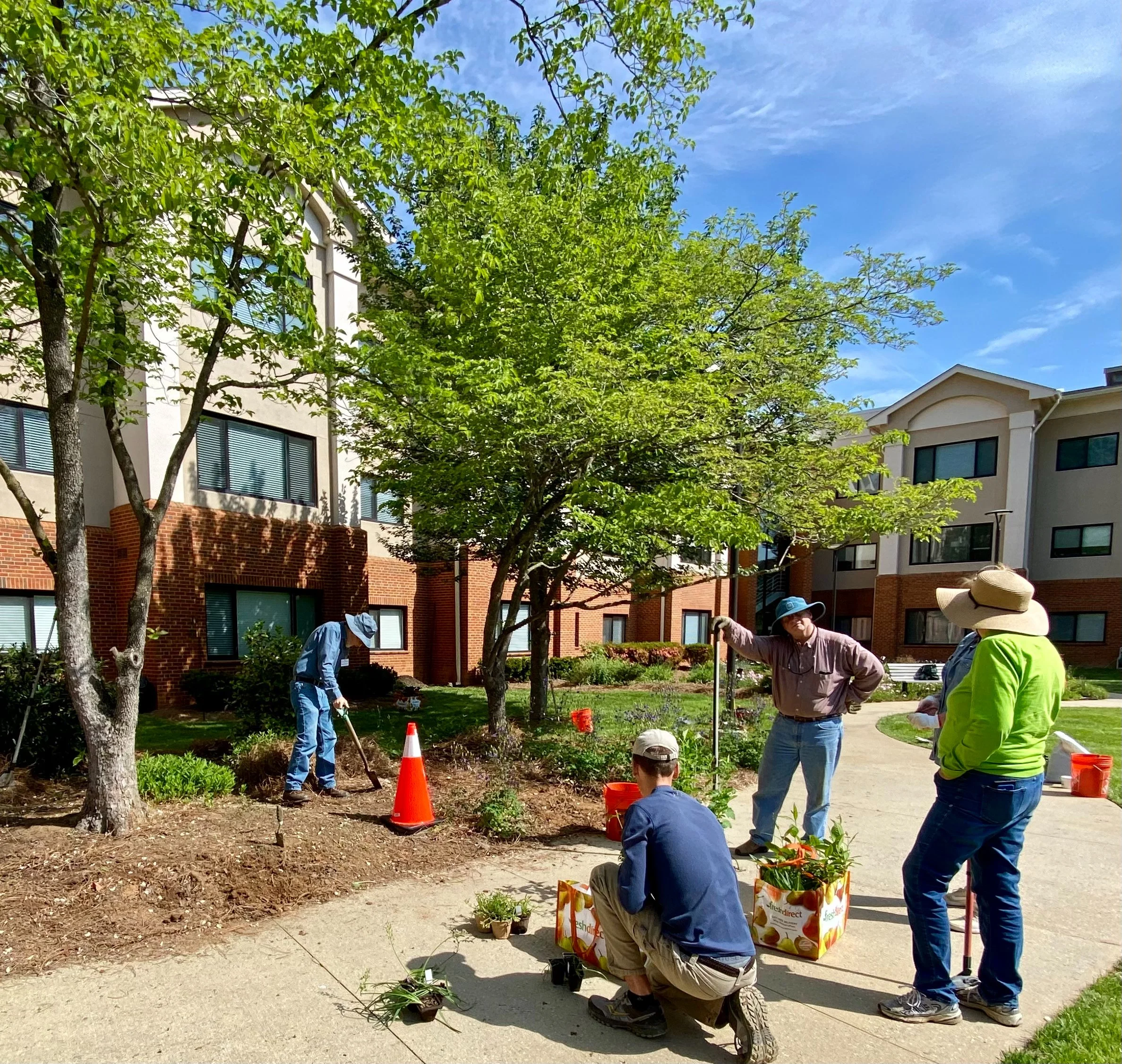 new pollinator garden going in.jpeg